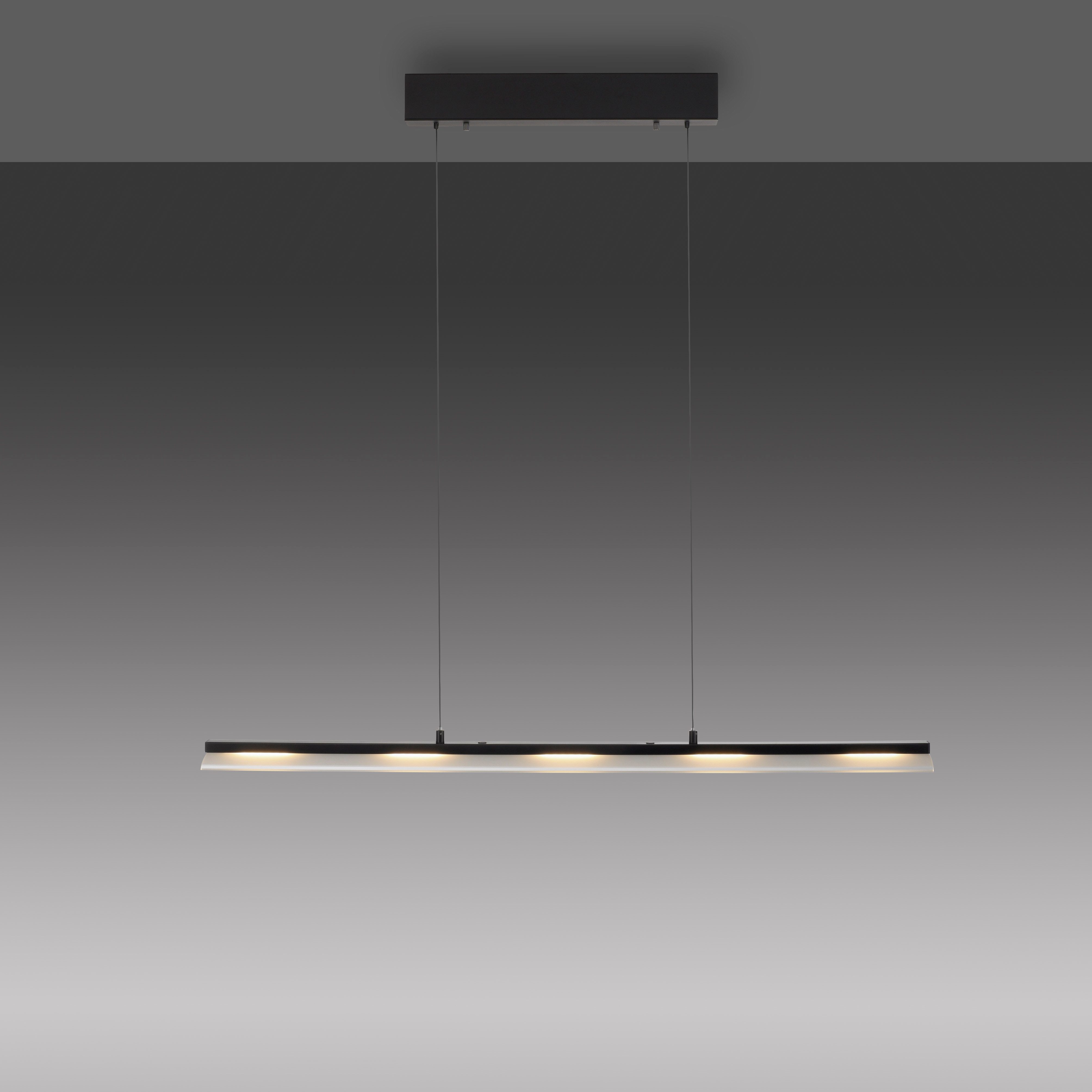 JUST LIGHT Pendelleuchte NELE, Dimmfunktion, LED fest integriert, Warmweiß, LED, Comfort Lift, dimmbar, Switchmo
