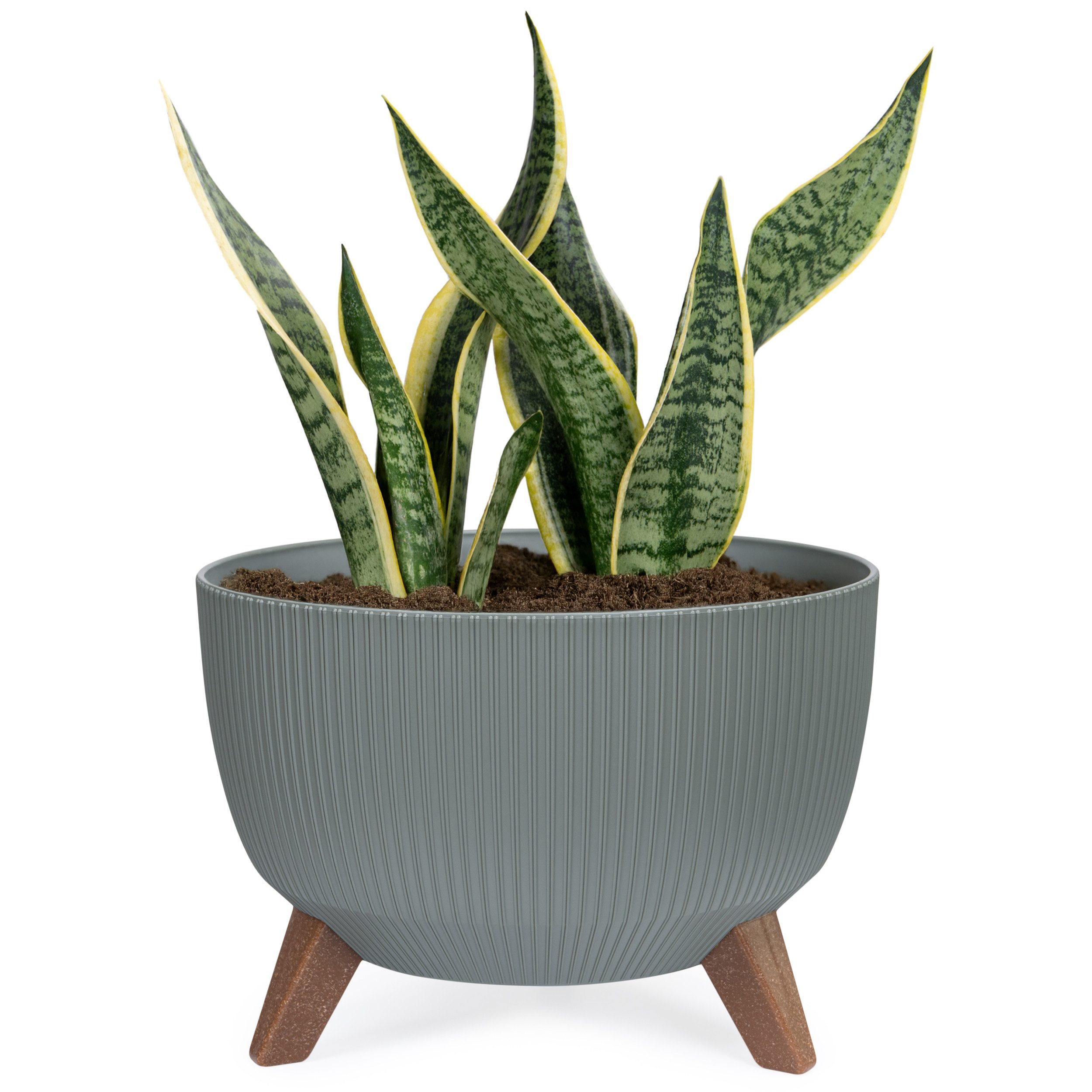 KONZEPT Blumentopf Pflanzenschale mit Füßen 33 günstig online kaufen
