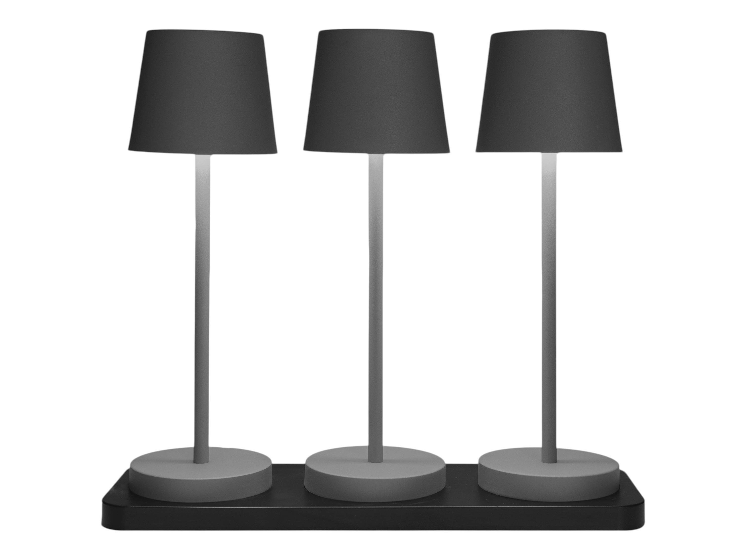 Coen Bakker Deco BV LED Außen-Tischleuchte Portable Light, Dimmfunktion, LED, warmweiß, kaltweiß, neutralweiß, schwarz Ladestation dimmbar touch 28cm