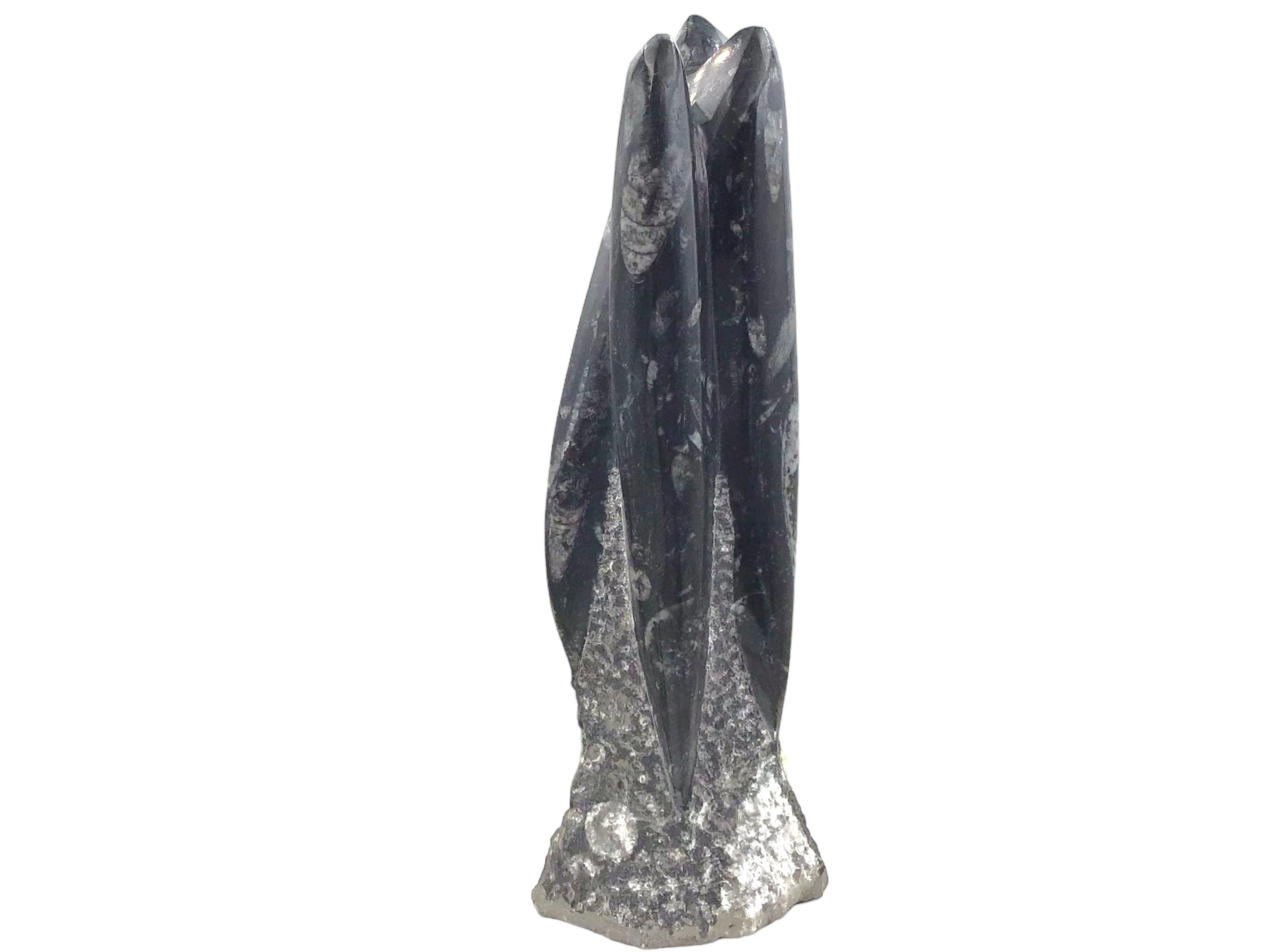 Steinfixx® Skulptur Orthoceras Skulptur (1 St)