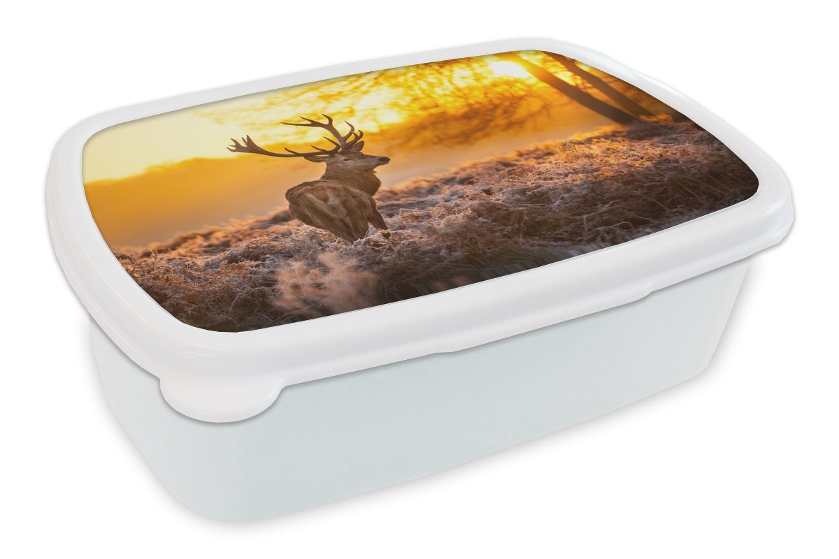 MuchoWow Lunchbox Hirsche - Tiere - Sonnenuntergang - Winter - Heidekraut - Natur, Kunststoff, (2-tlg), Brotbox für Kinder und Erwachsene, Brotdose, für Jungs und Mädchen weiß
