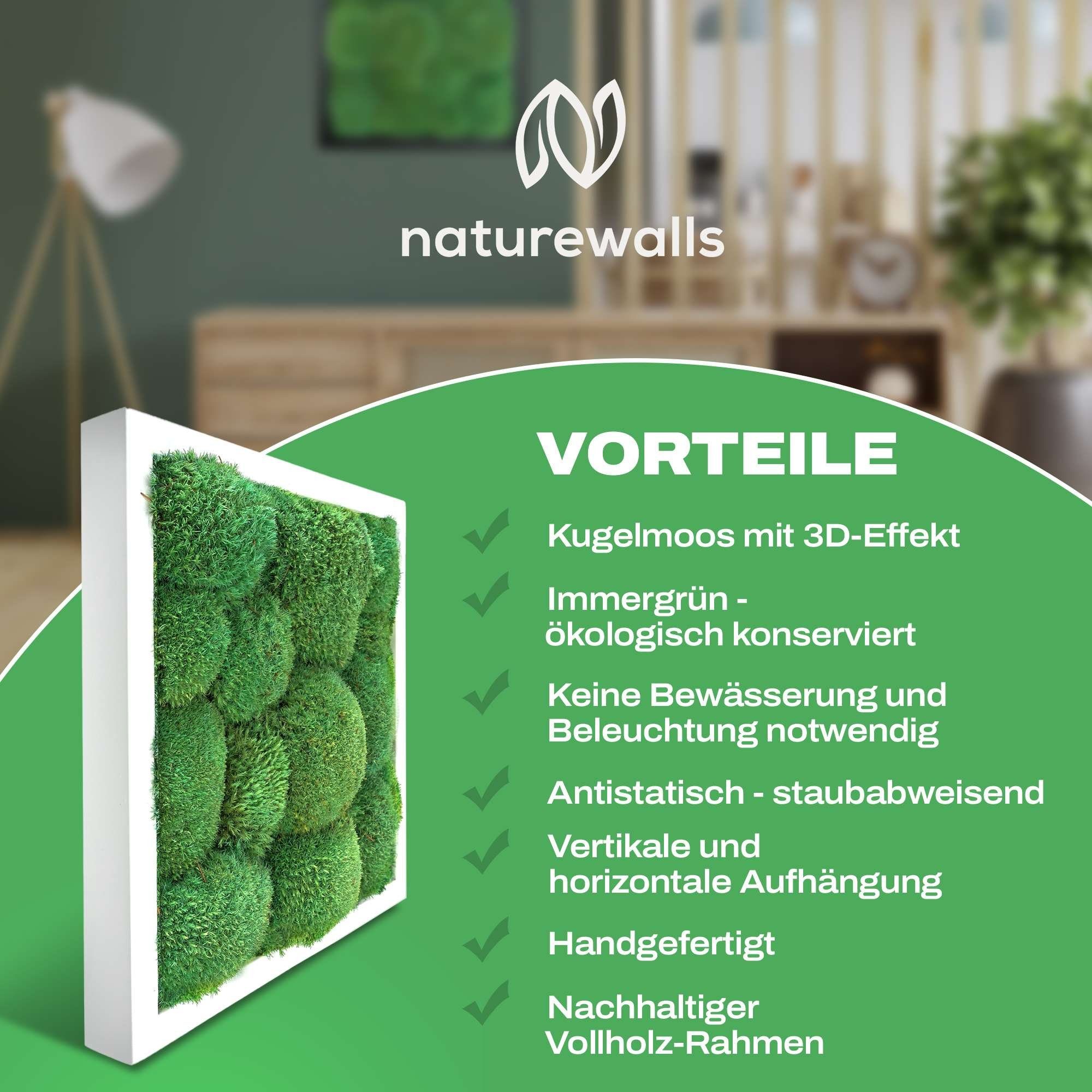 naturewalls Bild Moosbild - Vollholz-Rahmen Kugelmoos St), Wandbild, konserviert (1 Pflanzenbild - Weiß