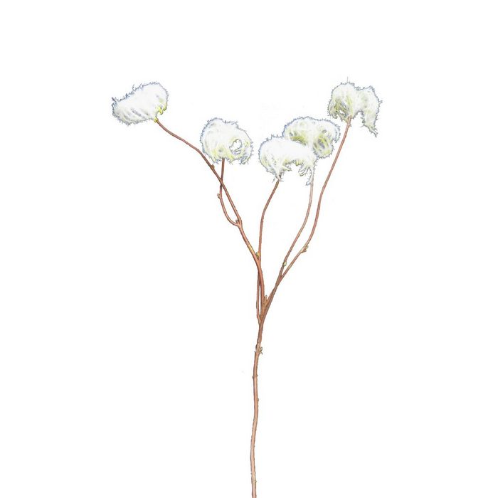 Kunstpflanze Dandelon Dary VBS 60 cm