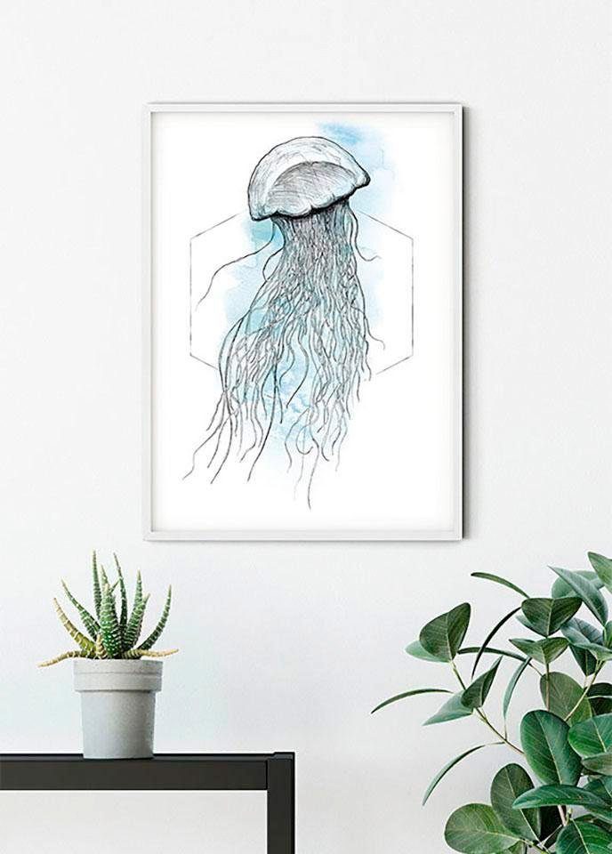 Schlafzimmer, (1 Kinderzimmer, Wohnzimmer Jellyfish Poster Tiere St), Watercolor, Komar