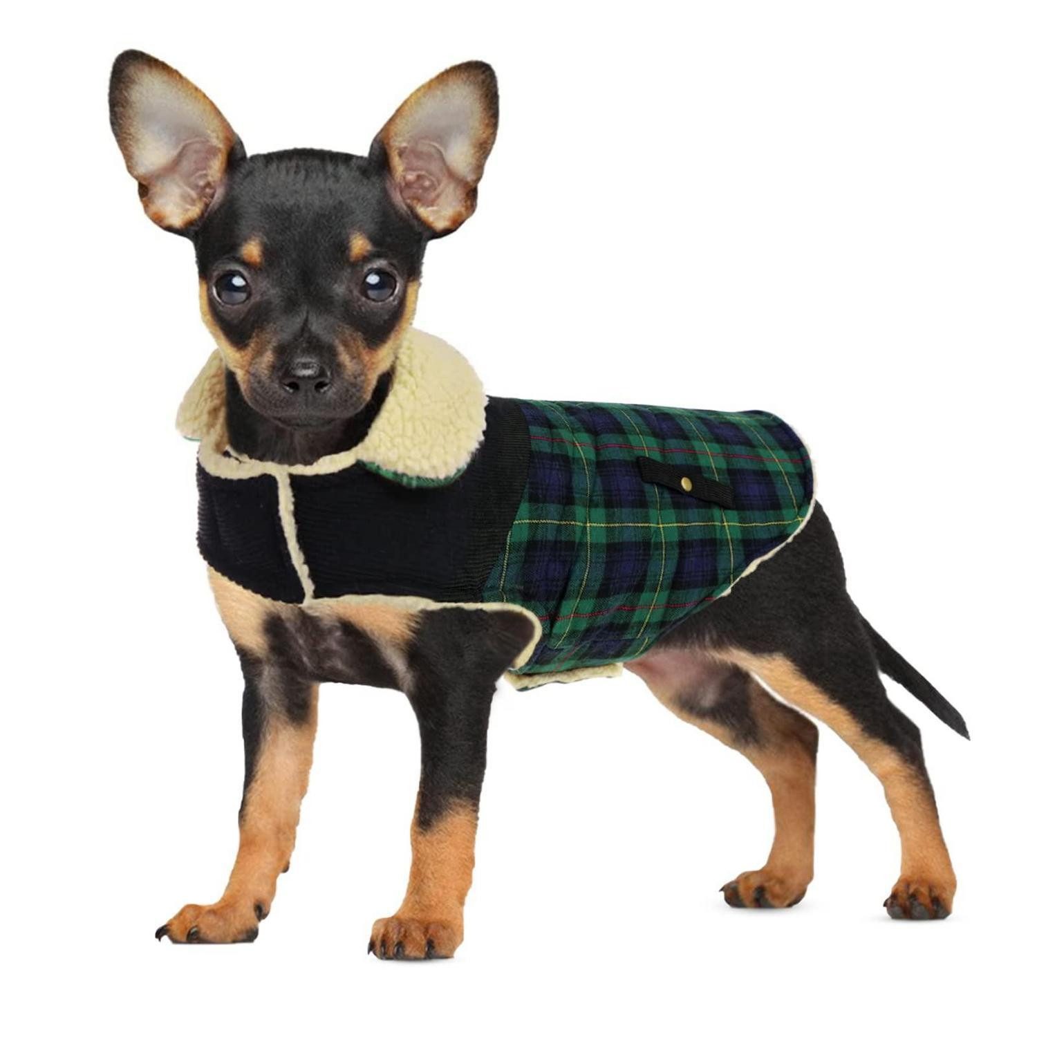 LuxusKollektion Hundemantel Hundemantel Fleece Grün XS