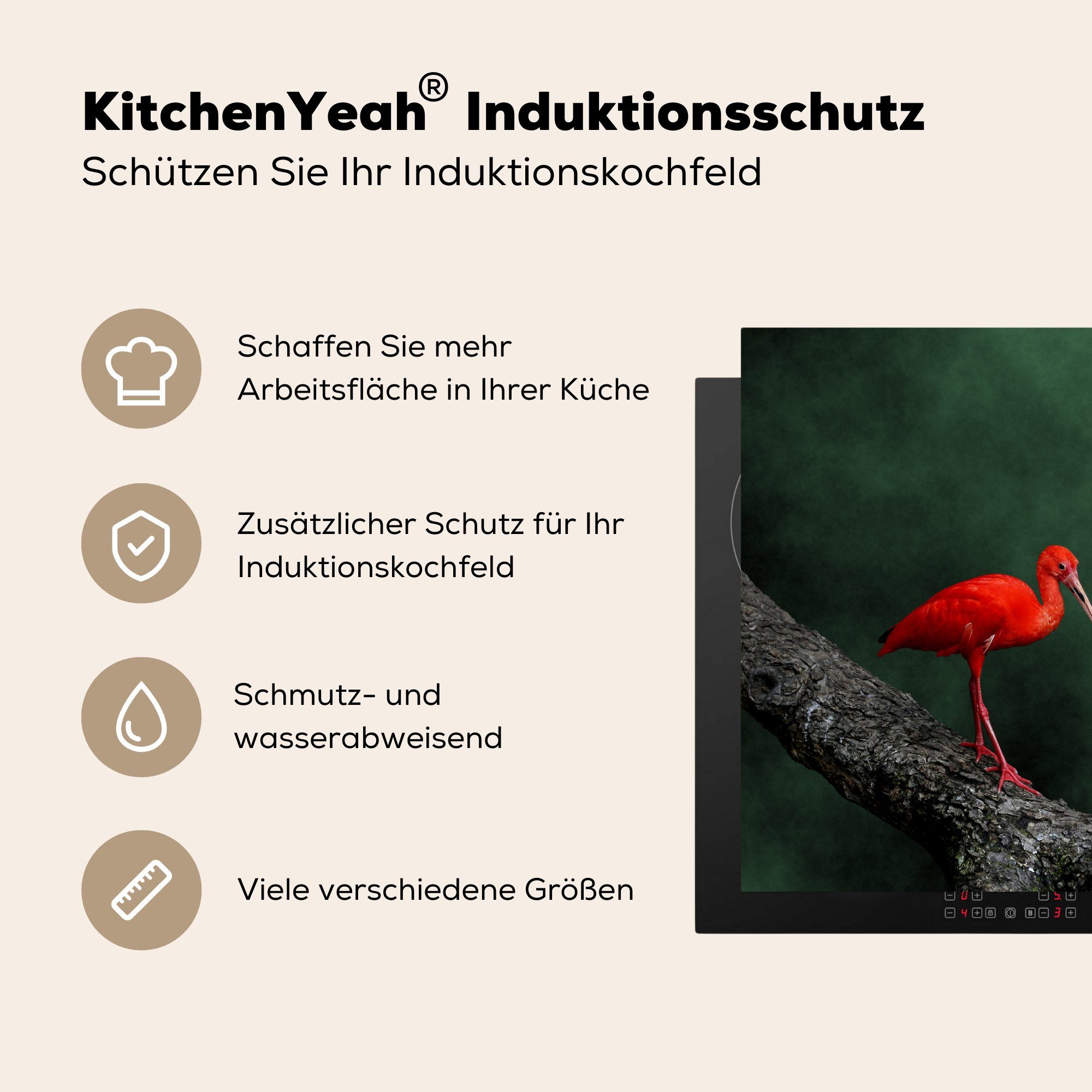 Ibis auf (1 Ceranfeldabdeckung, Arbeitsplatte küche Herdblende-/Abdeckplatte tlg), Roter 78x78 Vinyl, cm, einem für Baumzweig, MuchoWow