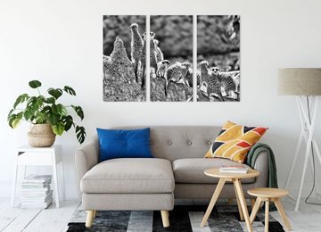 Pixxprint Leinwandbild große Erdmännchen Familie, große Erdmännchen Familie 3Teiler (120x80cm) (1 St), Leinwandbild fertig bespannt, inkl. Zackenaufhänger