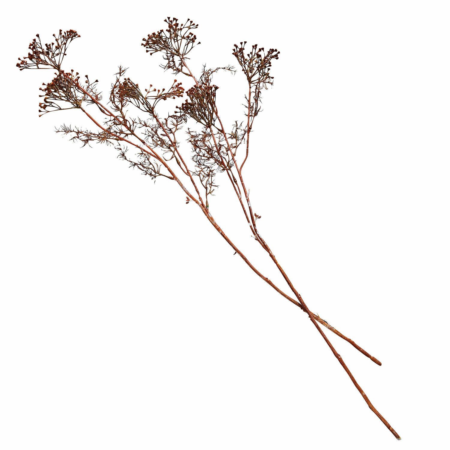 Kunstblume Deko-Blume 4er Set Jennings braun, Mirabeau, Höhe 85.0 cm