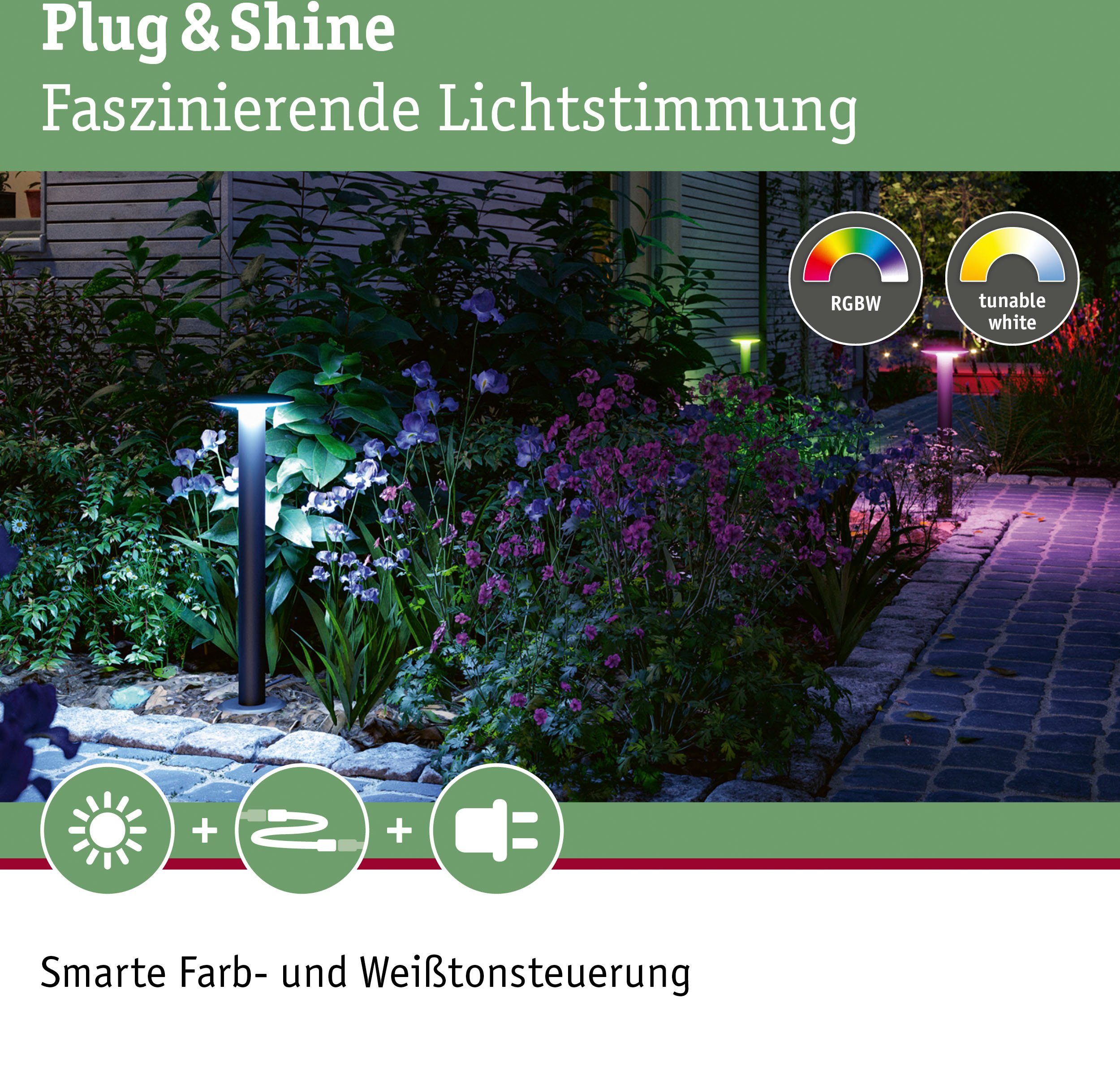 Outdoor integriert, Pollerleuchte Paulmann fest Tageslichtweiß, IP44 Plate IP44, RGBW LED LED RGBW 230V Poller