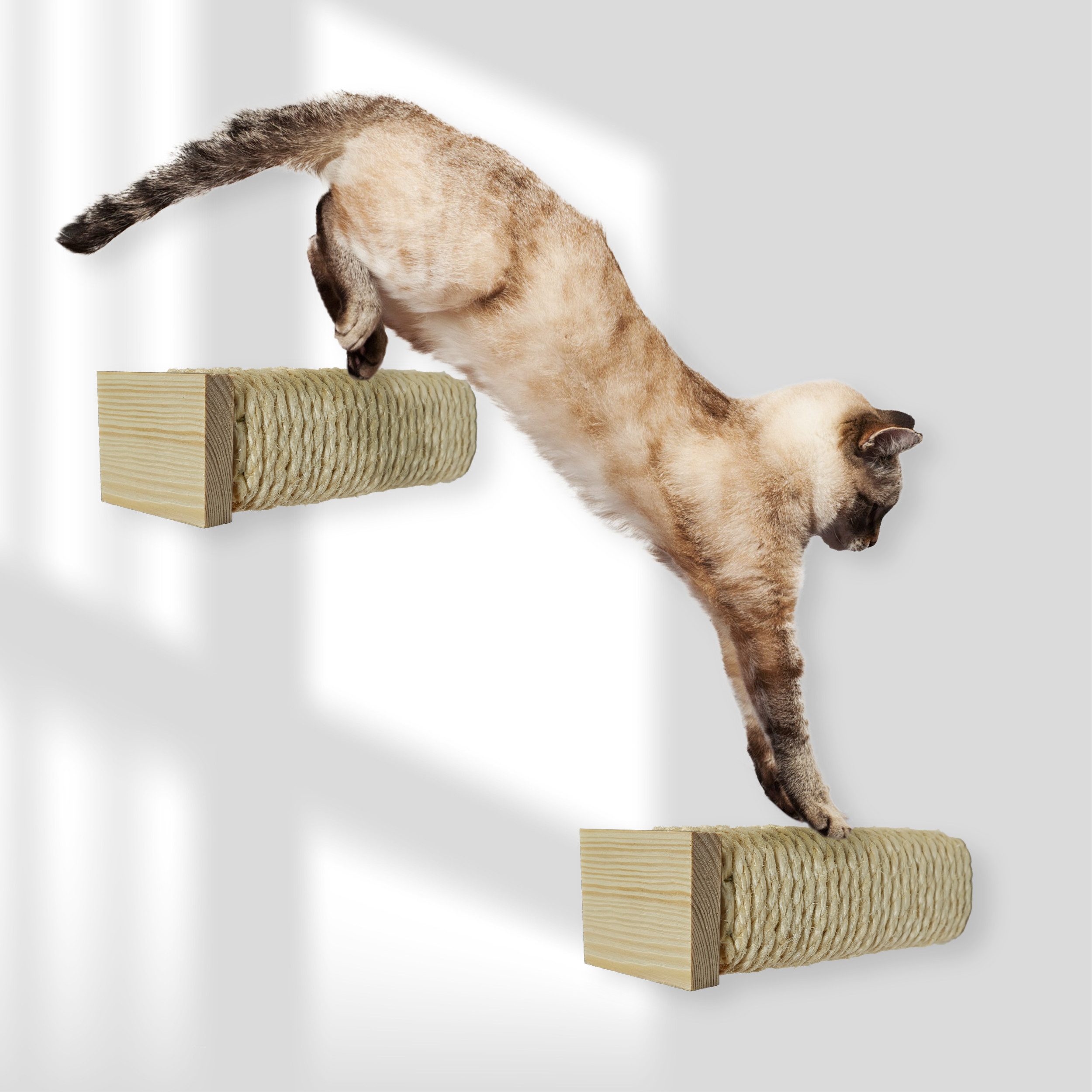 Rohrschneider Katzen-Kletterwand Katzentreppe Wand natur Wandelement günstig online kaufen