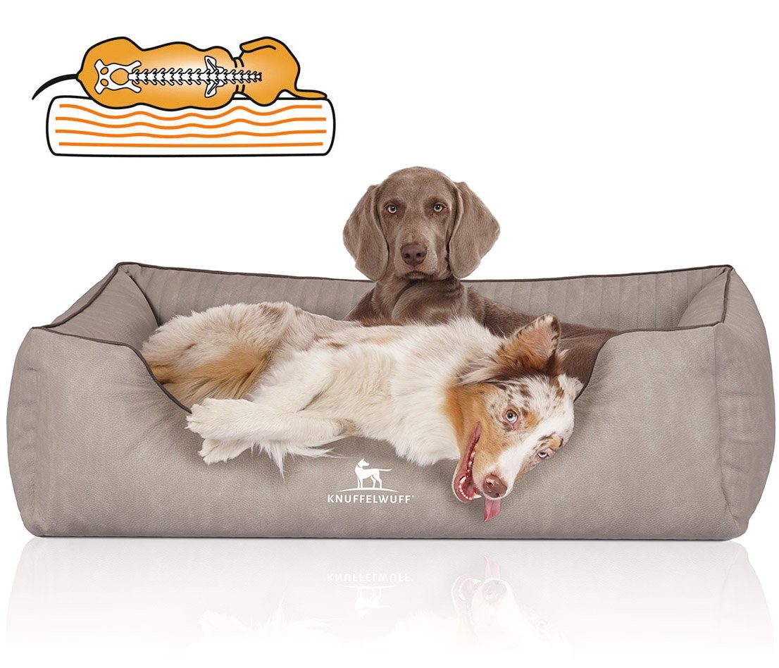 Knuffelwuff Tierbett Hundebett Tampa, Orthopädisch