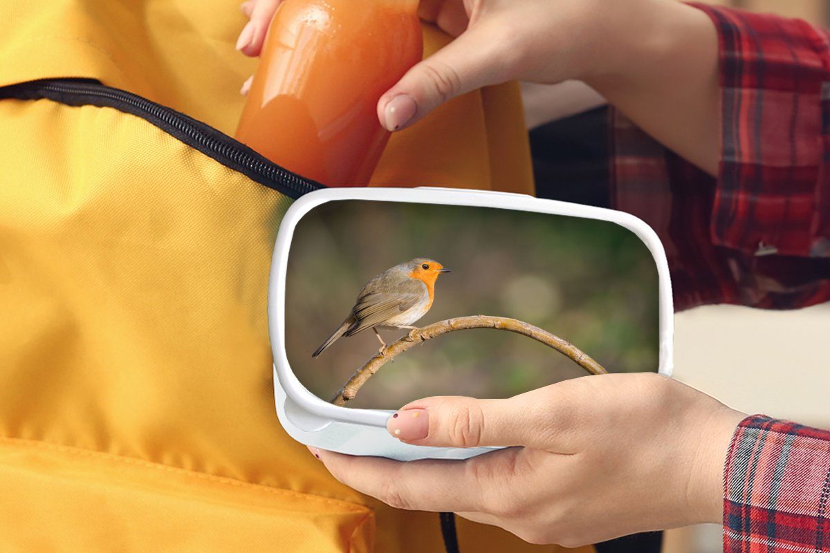 (2-tlg), Brotdose, Natur, Kinder weiß und - Vogel für für Mädchen - Jungs Brotbox und MuchoWow Erwachsene, Rotkehlchen Kunststoff, Lunchbox