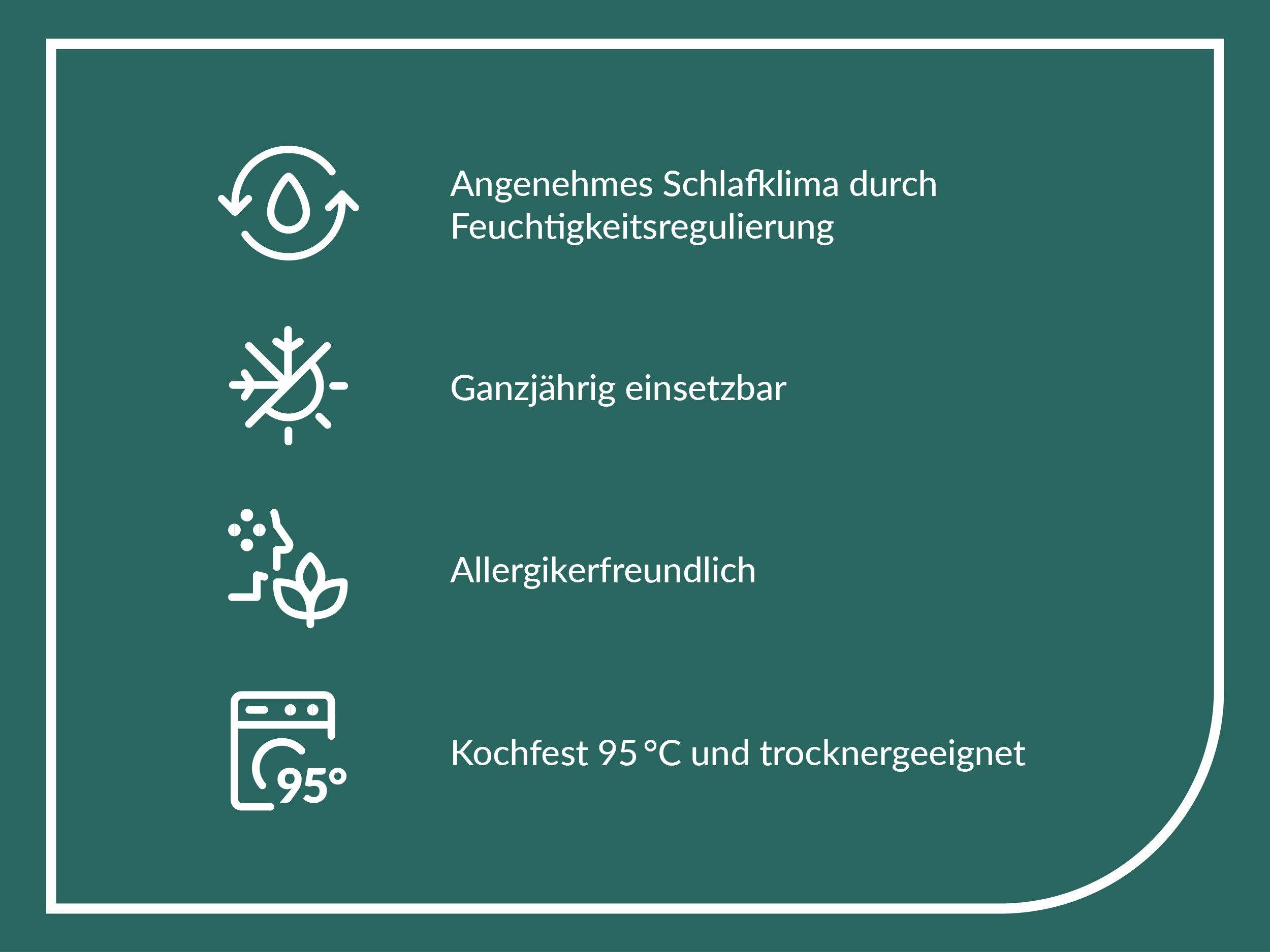fan Microfaserkissen Kansas, mit Baumwollbezug und Reißverschluss, Füllung: 100% Microfaser, Bezug: 100% Baumwolle, in 40x80 oder 80x80 cm, Kopfkissen aus Microfaser, Made in Germany