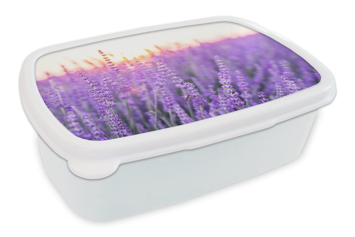 Kunststoff, Lila - Mädchen Brotdose, für und weiß - Brotbox für Nahaufnahme Erwachsene, Lavendel Jungs und Kinder MuchoWow (2-tlg), - Blumen, Lunchbox