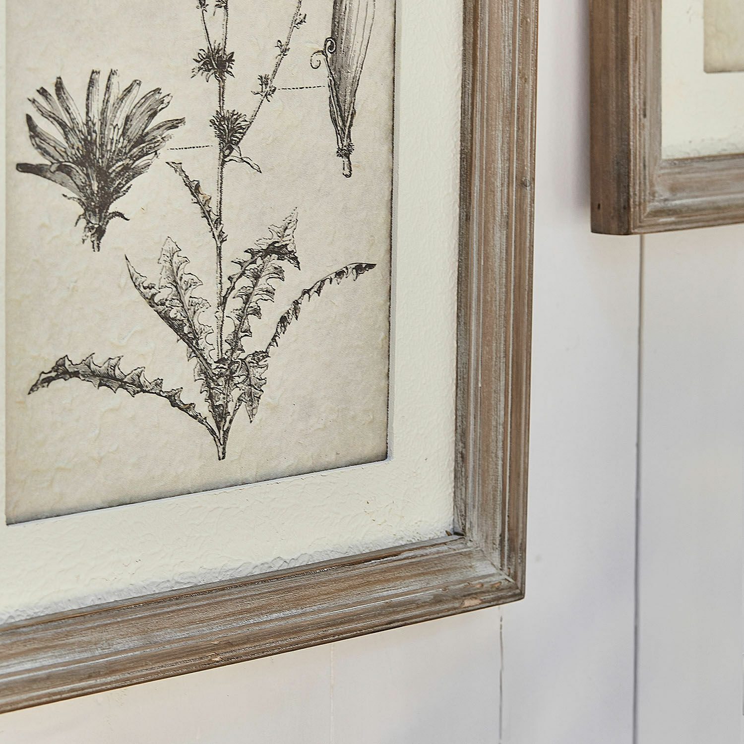 Mirabeau Wanddekoobjekt Bild 2er Set Stanbury braun/weiß