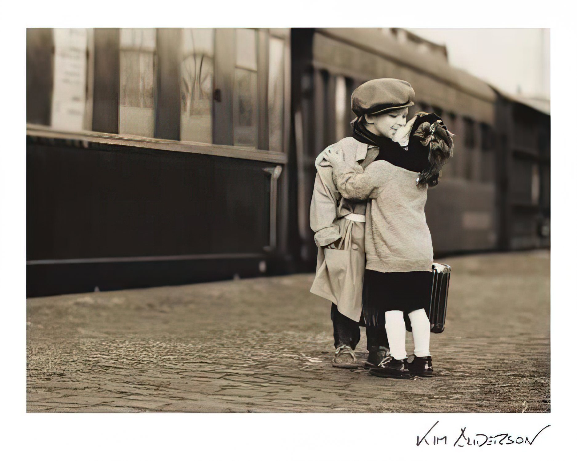 Close Up Poster Forgetmenot Poster 30 x 24 cm