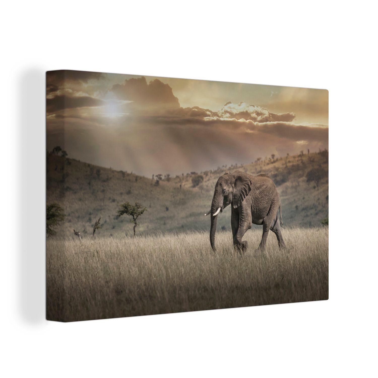 OneMillionCanvasses® Leinwandbild Elefant in der Savanne des Masai Mara Nationalparks in Kenia, (1 St), Wandbild Leinwandbilder, Aufhängefertig, Wanddeko, 30x20 cm
