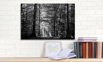 WandbilderXXL Leinwandbild Into The Forest, Wald (1 St), Wandbild,in 6 Größen erhältlich