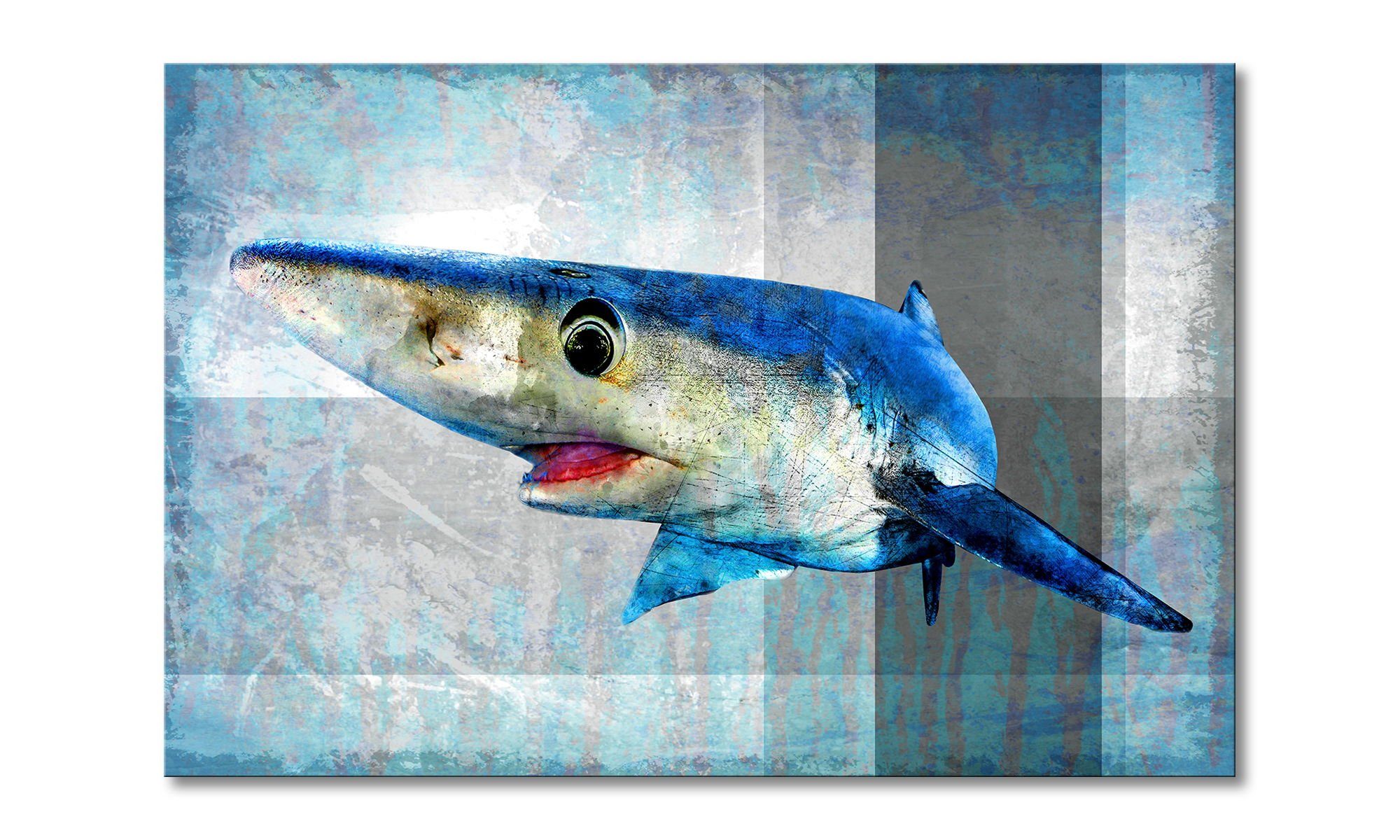 Leinwandbild Mr. Shark