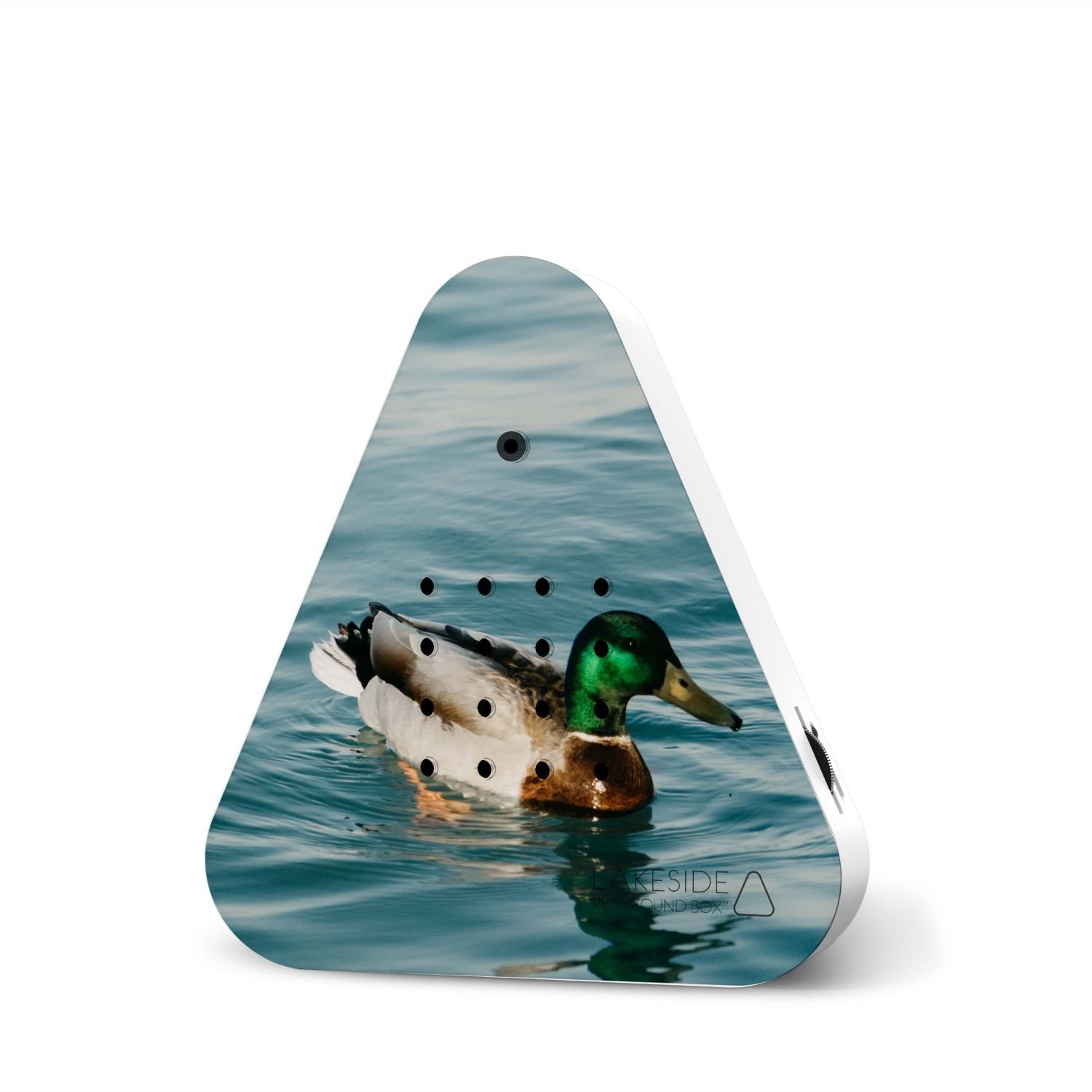 Wanddekoobjekt Lakesidebox Happy Birds Wild Duck