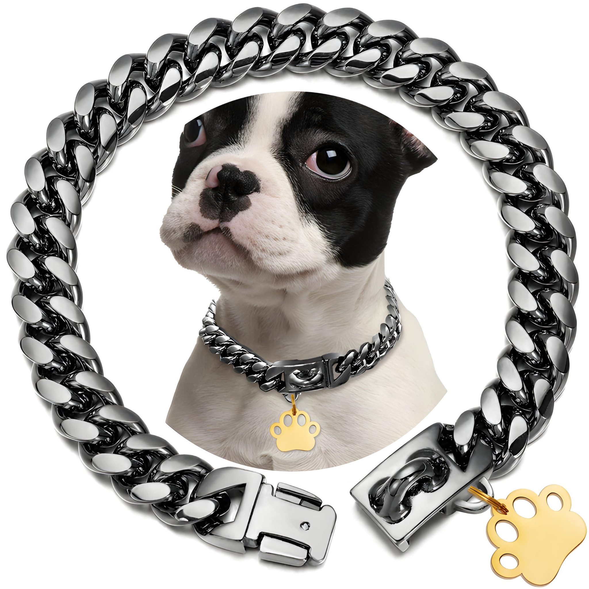 HS.SUPPLY Hunde-Halsband Hundekette aus Edelstahl inkl. Hundeleine, Sicheres Hundehalsband als stylische Kette