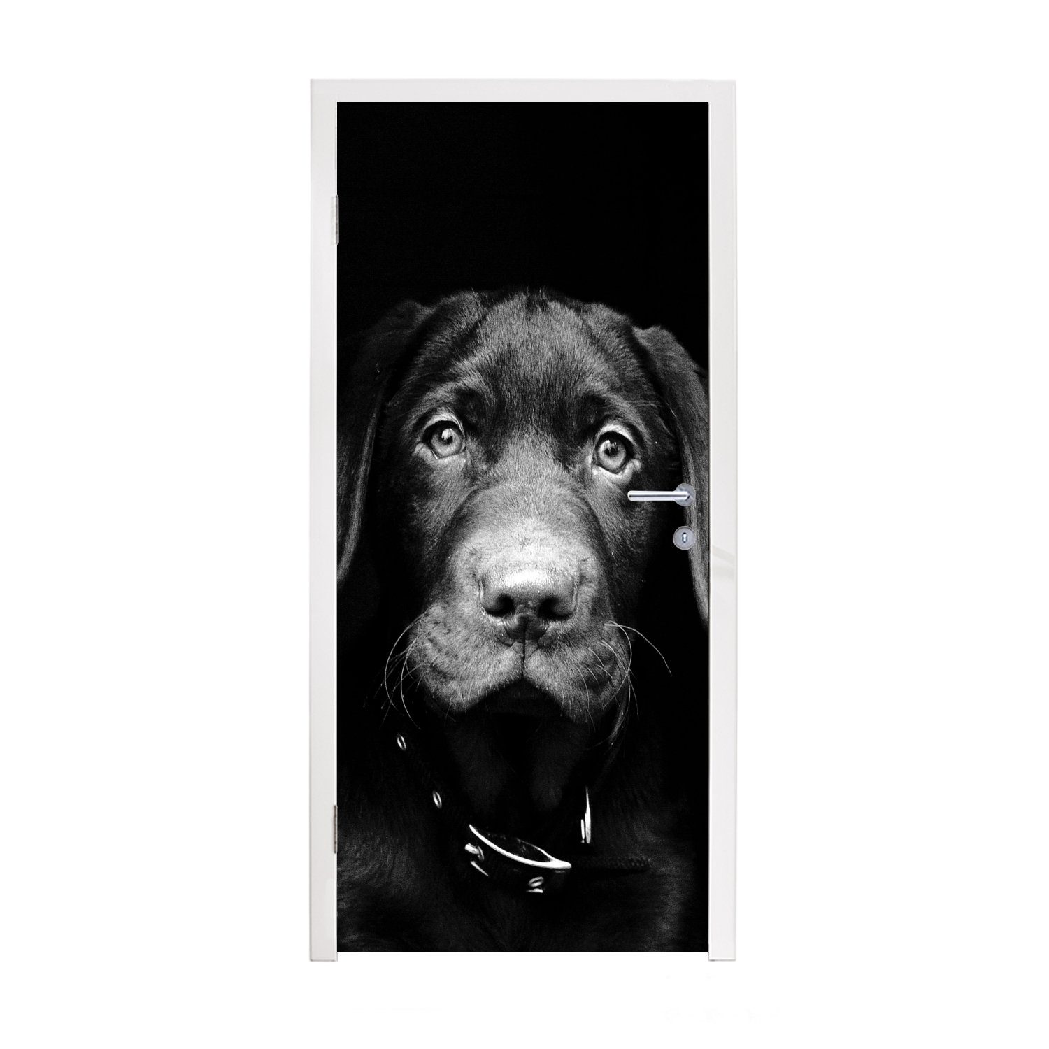 MuchoWow Türtapete Hund - Leicht - Schwarz, Matt, bedruckt, (1 St), Fototapete für Tür, Türaufkleber, 75x205 cm