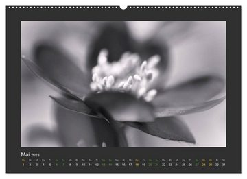 CALVENDO Wandkalender Pflanzen in Schwarz und Weiß (Premium, hochwertiger DIN A2 Wandkalender 2023, Kunstdruck in Hochglanz)