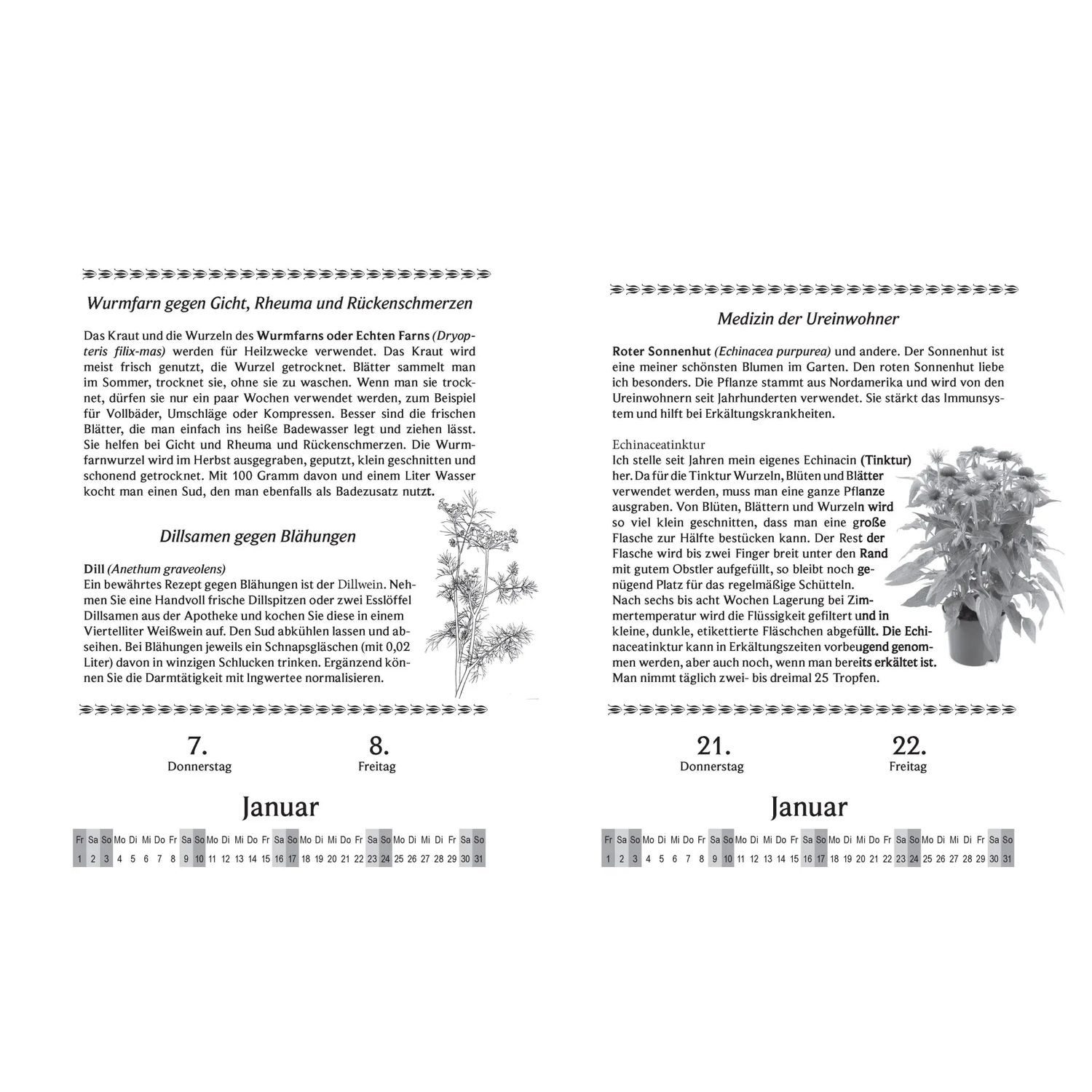 Bassermann Verlag Abreißkalender Liesel Malms Kräuterkalender 2027. Mit der Heilkraft der Natur...