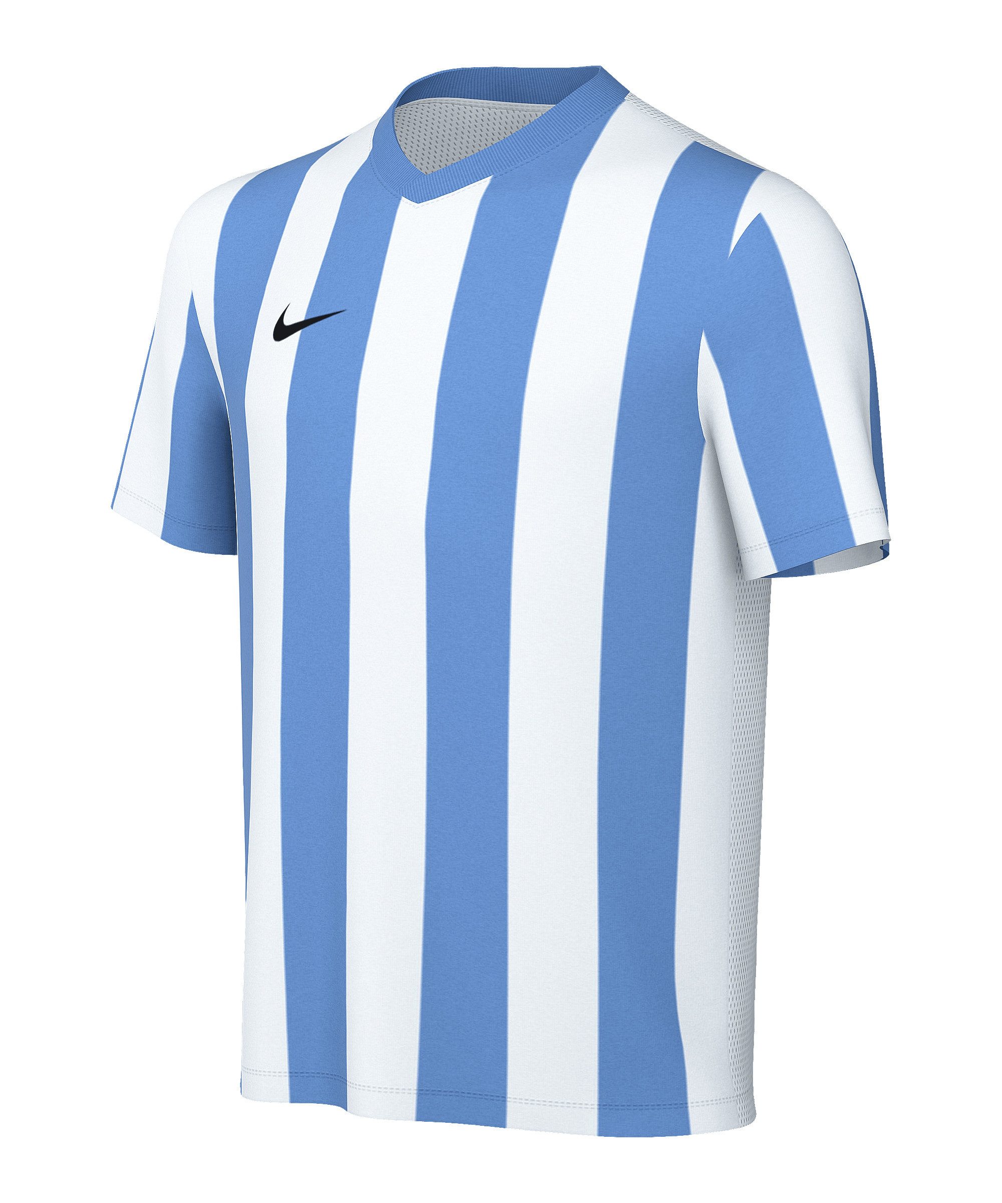 Nike Fußballtrikot Nike Performance Division V Striped Trikot Kids Teamsport
