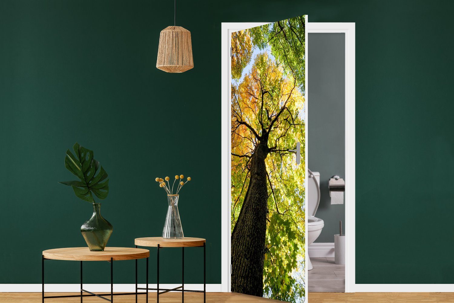 cm Fototapete - Türaufkleber, Baum 75x205 Matt, für Wald, bedruckt, Natur (1 Türtapete Tür, MuchoWow - St),