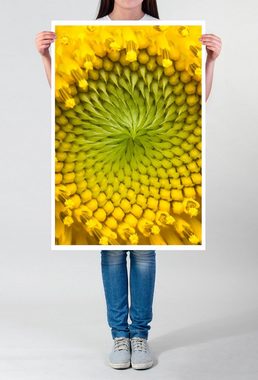 Sinus Art Poster Naturfotografie 60x90cm Poster Nahaufnahme einer Sonnenblumen
