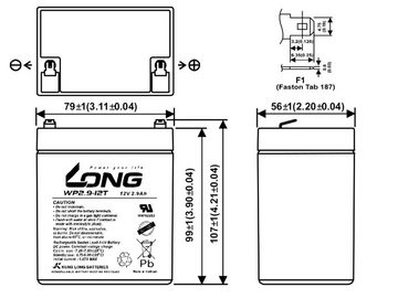 Kung Long 12V 2,9Ah ersetzt CP1229 AGM Batterie wartungsfrei Bleiakkus, universell einsetzbar