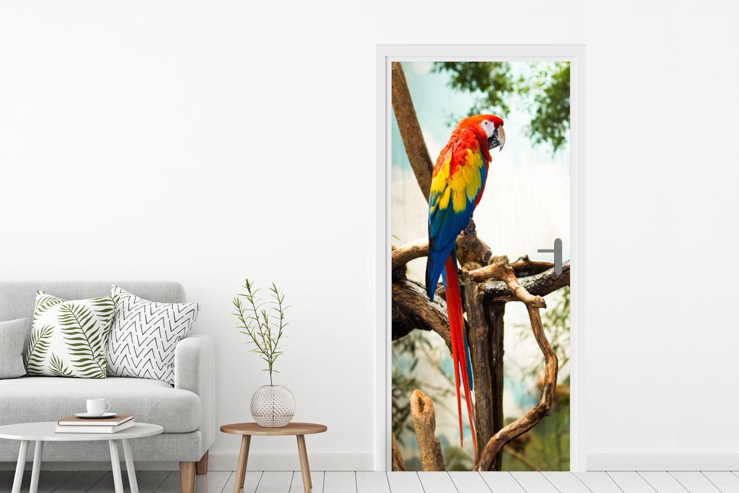 cm - Fototapete - Matt, Regenbogen Vogel 75x205 für Tropisch, Türaufkleber, - Tür, (1 bedruckt, Türtapete St), Papagei MuchoWow