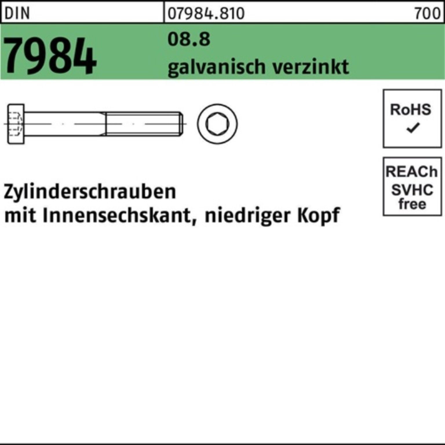 Reyher Zylinderschraube 100er Pack Zylinderschraube DIN 7984 Innen-6kt M20x80 8.8 galv.verz. 2