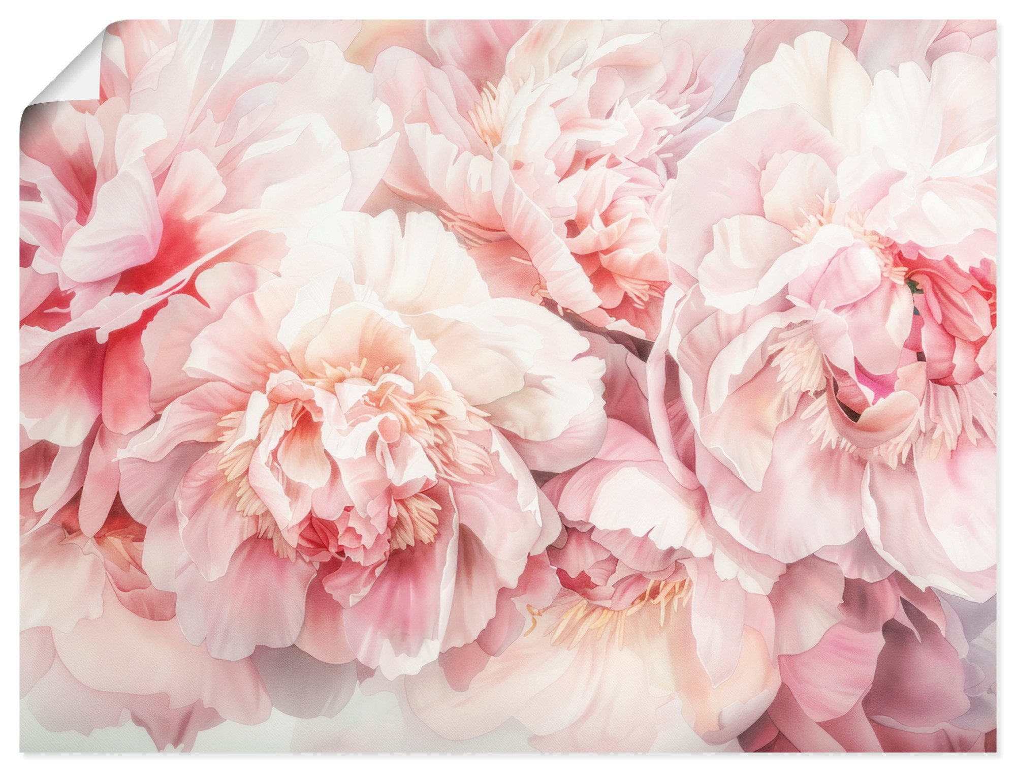 Artland Wandbild Rosa Farbene Pfingstrosen Aquarell, Blumenbilder (1 St), als Alubild, Leinwandbild, Poster, Wandaufkleber in verschied. Größen