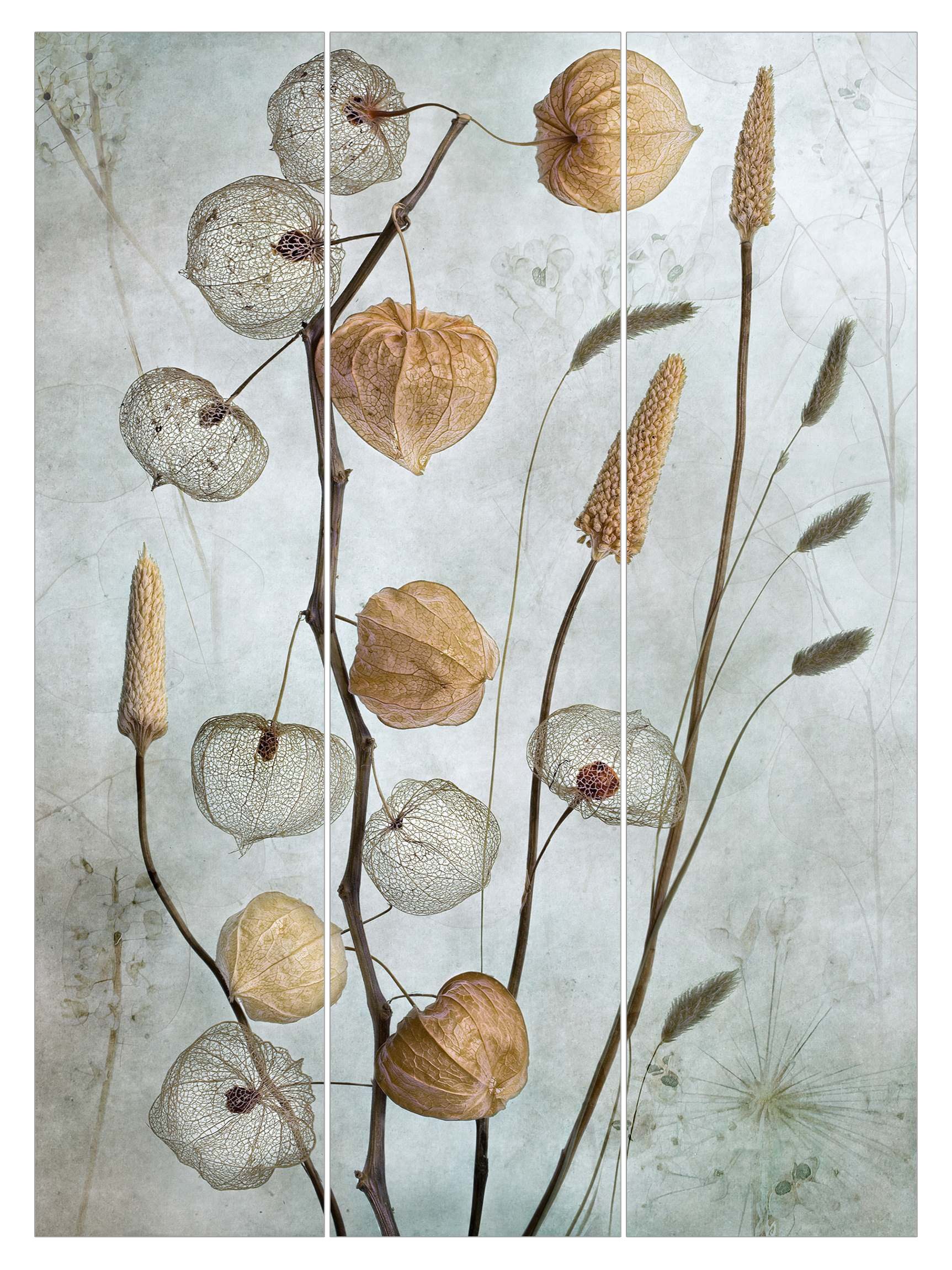 Bilderdepot24 Schiebegardine Flächenvorhang blickdicht Lampionfrüchte im Herbst (3 St), halbtransparent, Wohnzimmer große Flächengardine lichtdurchlässig als Klett-System