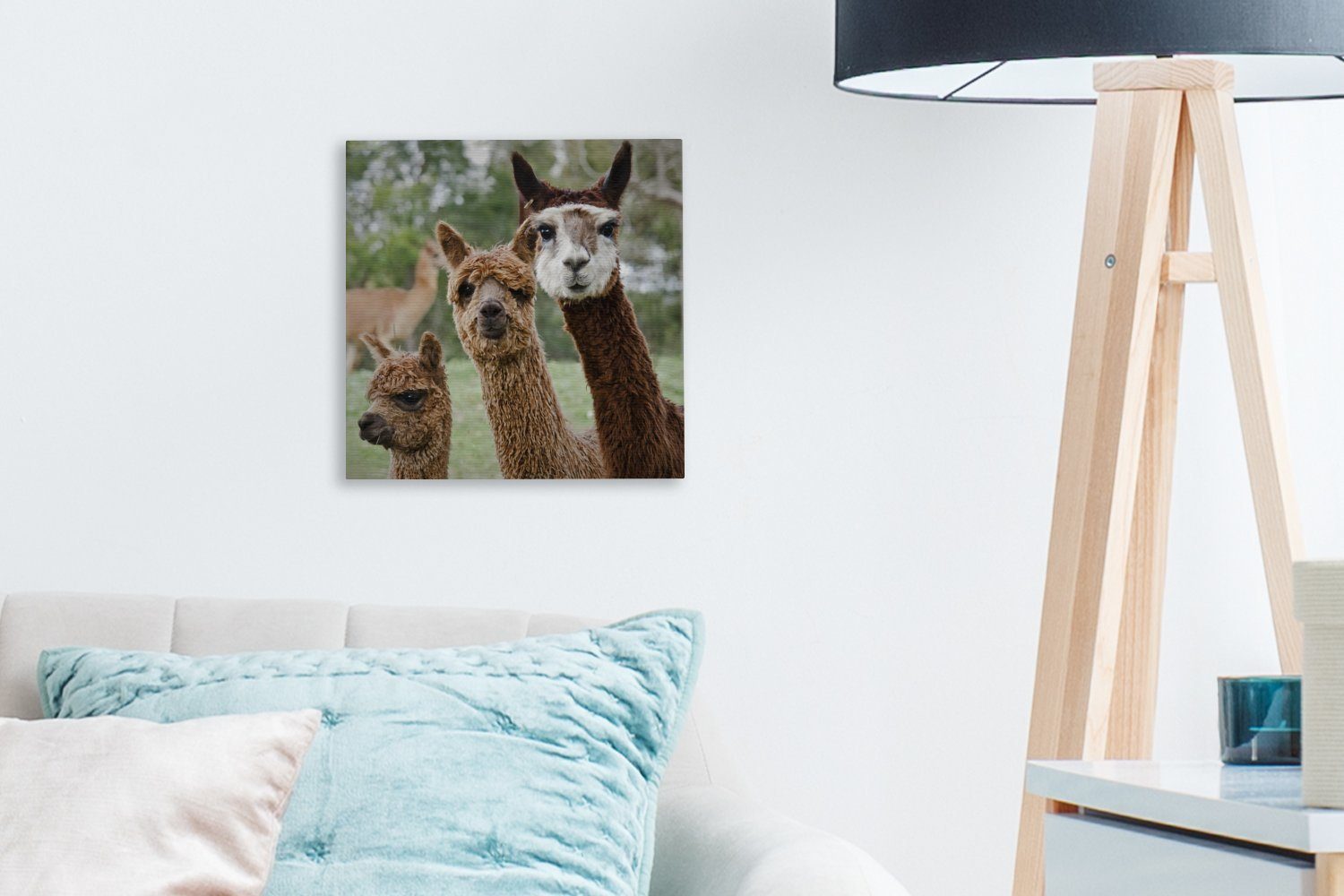 OneMillionCanvasses® Leinwandbild Alpaka Braun, Bilder (1 Tier Leinwand - für St), Schlafzimmer Wohnzimmer 