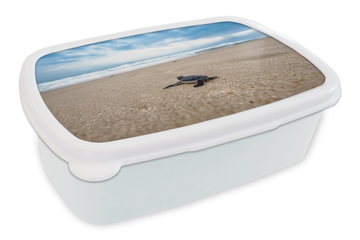 MuchoWow Lunchbox Strand - Meer - Schildkröte, Kunststoff, (2-tlg), Brotbox für Kinder und Erwachsene, Brotdose, für Jungs und Mädchen weiß