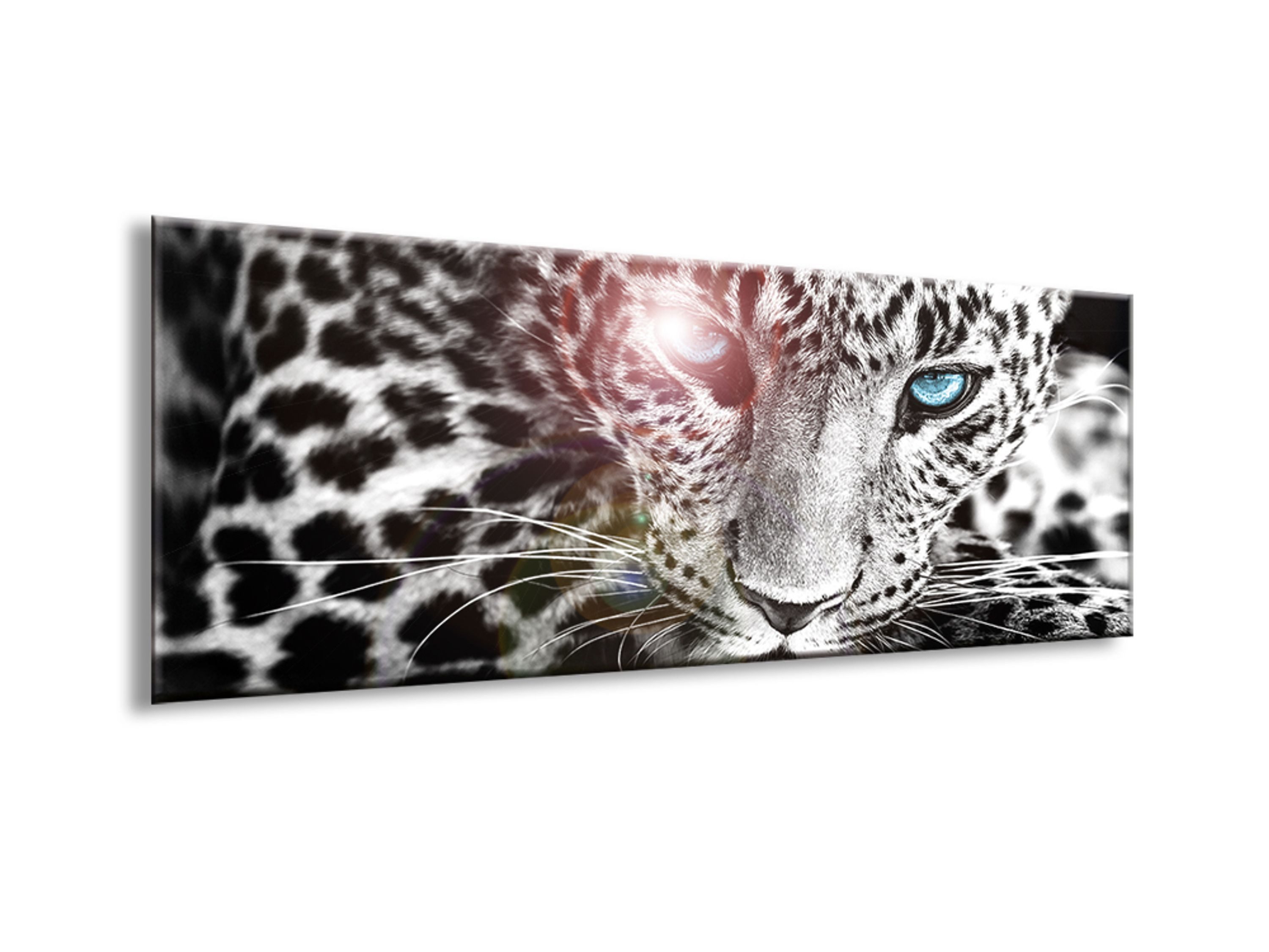 artissimo Glasbild Bild aus Glas 80x30 cm / Wandbild Querformat / Wanddeko modern, Tiere: Leopard in Schwarz und Weiß mit Blau