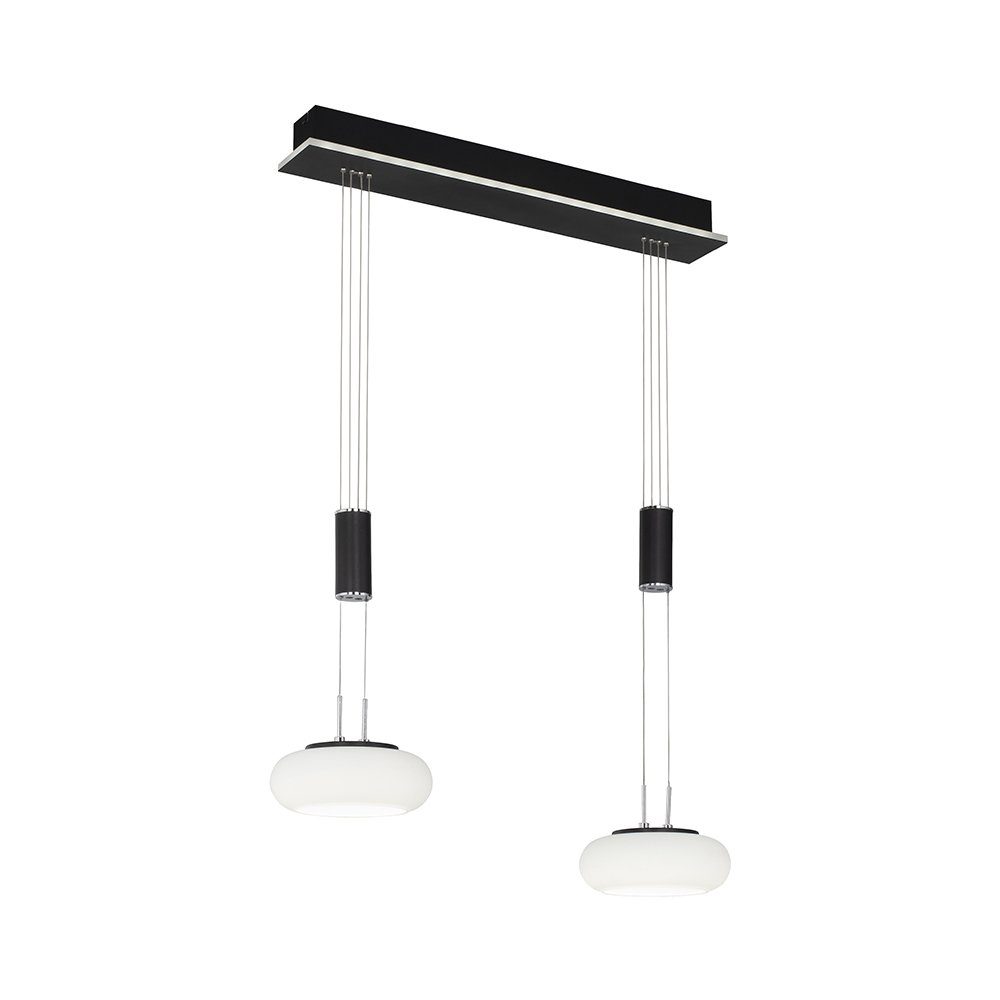 Paul Neuhaus Smarte LED-Leuchte LED Pendellampe günstig online kaufen