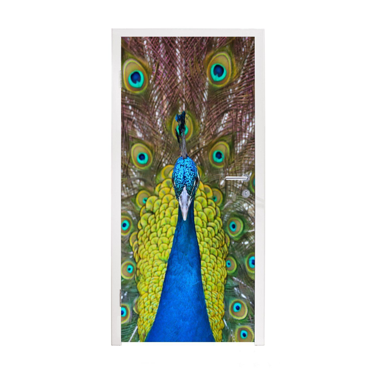 MuchoWow Türtapete Pfau - Federn - Augen, Matt, bedruckt, (1 St), Fototapete für Tür, Türaufkleber, 75x205 cm