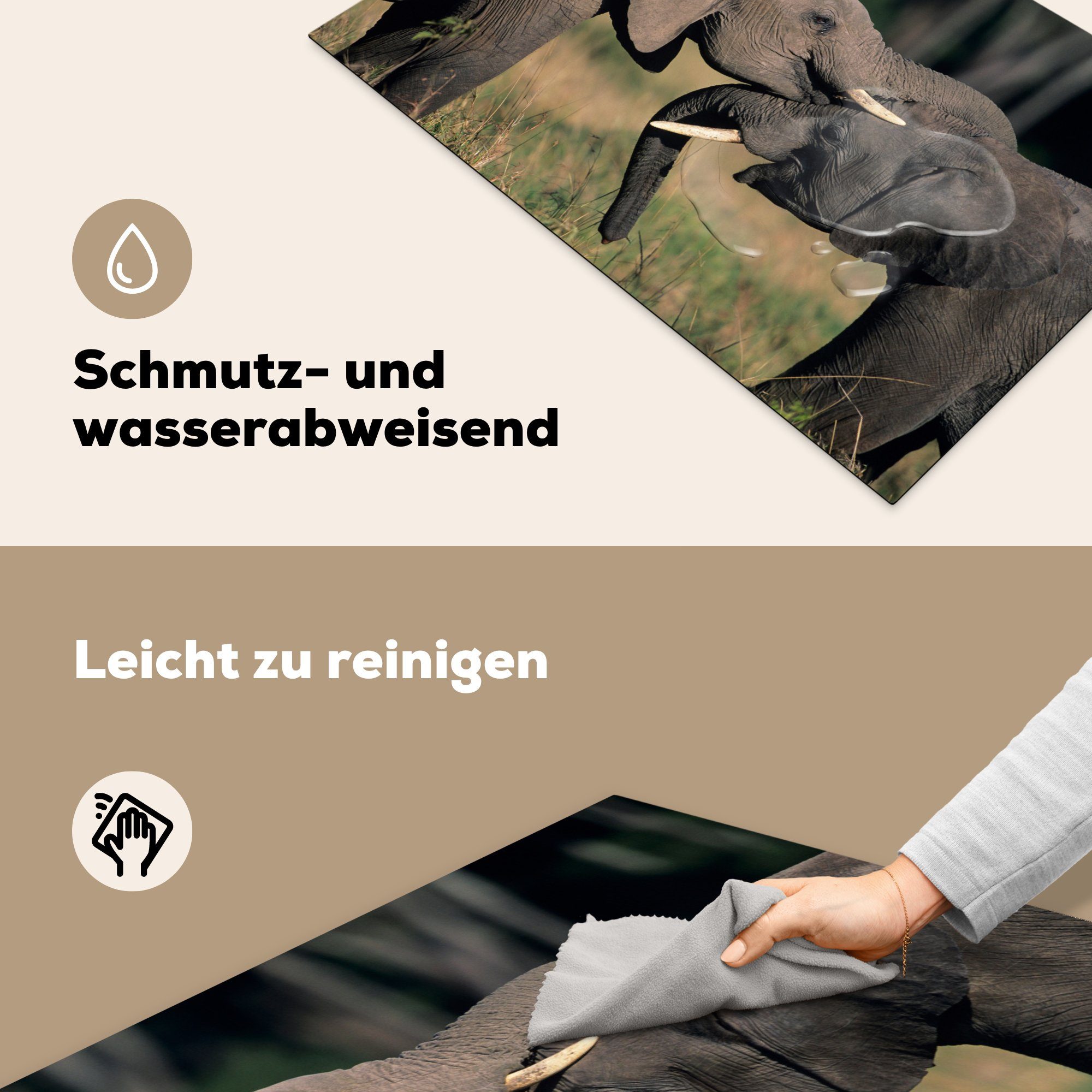 Induktionskochfeld Elefant küche, für - Vinyl, - - 81x52 Schutz Herdblende-/Abdeckplatte Ceranfeldabdeckung (1 tlg), cm, Natur, MuchoWow Tiere Grau die
