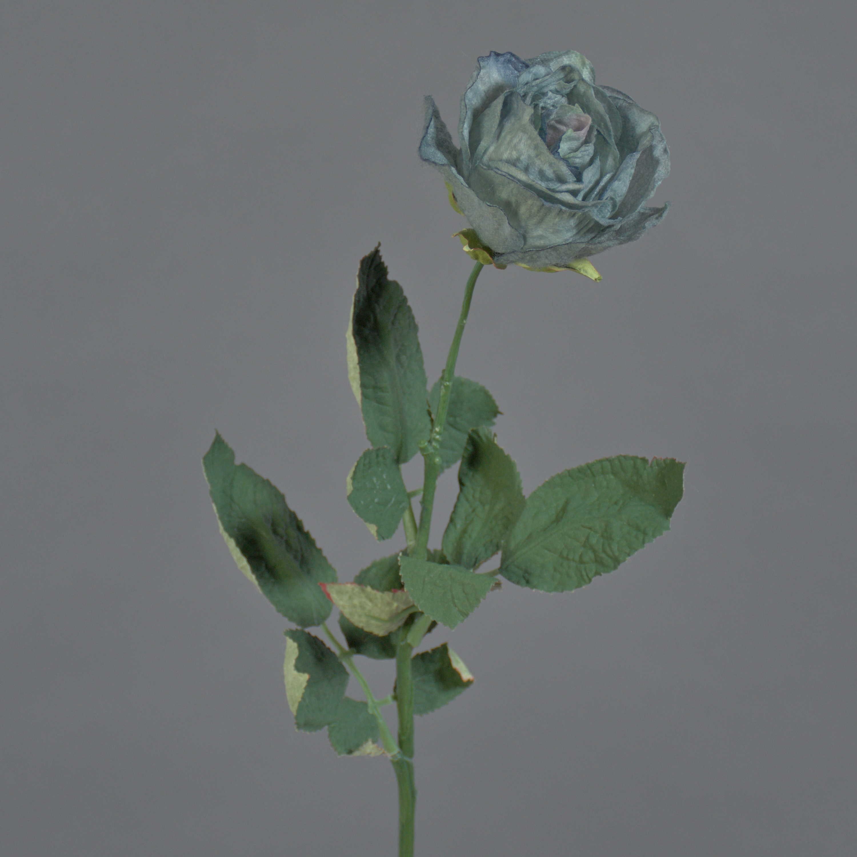 Kunstblume Künstliche Rose Freida, Eco Collection, grau-hellblau, 65cm, Ø7cm Rose, artplants, Höhe 65.0 cm