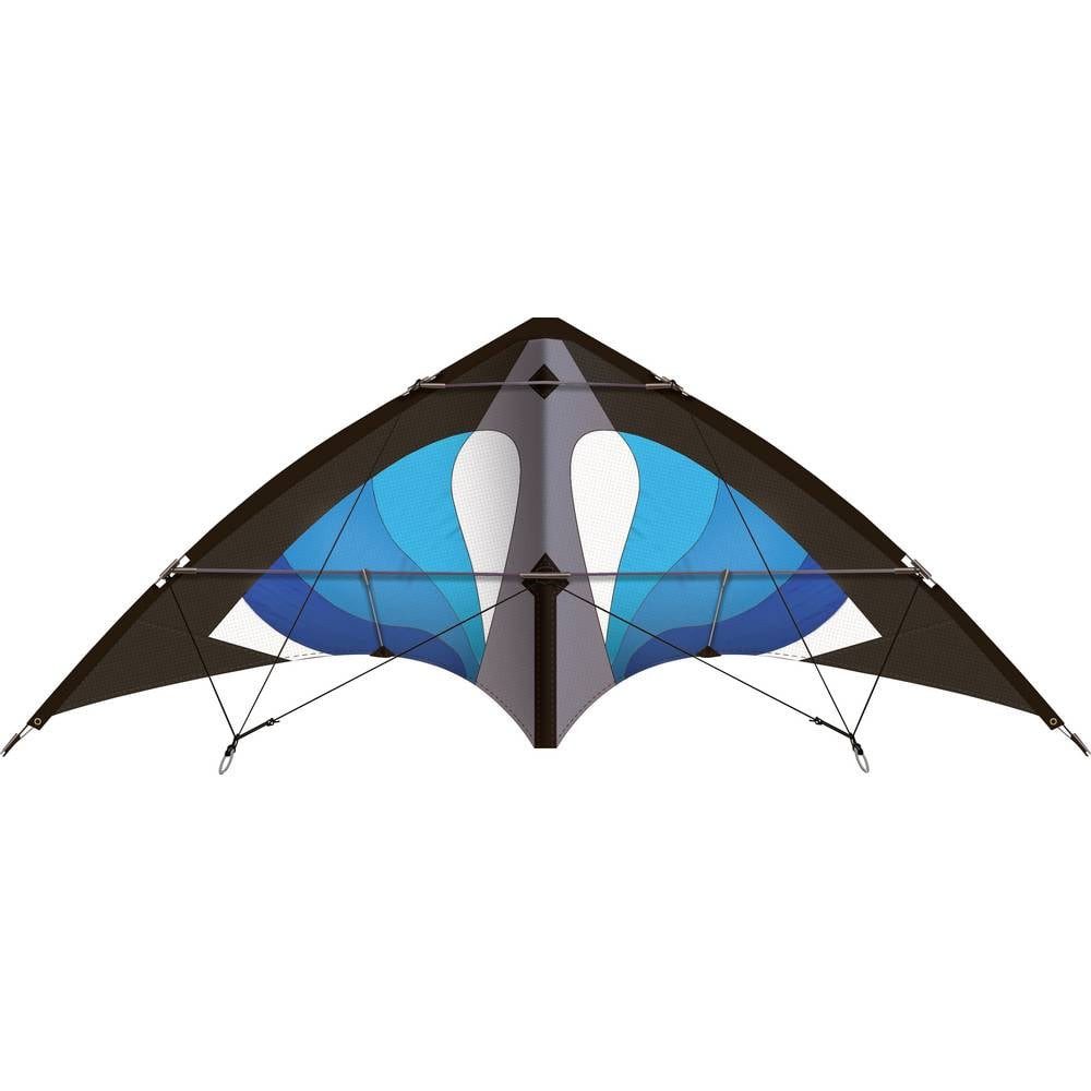 Flug-Drache