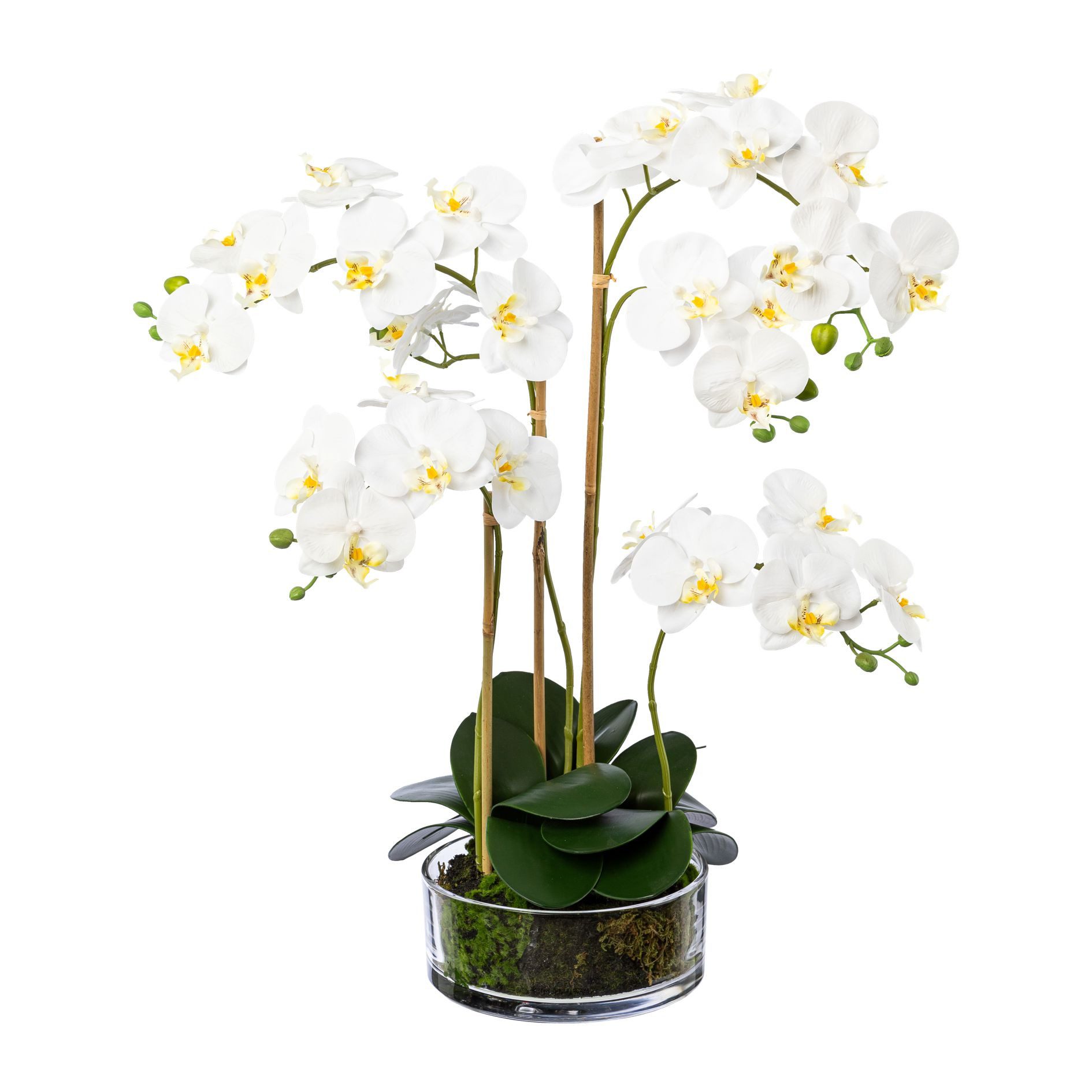 Kunstorchidee Kunstblume Phalaenopsis ca. 60cm. Orchidee im Glastopf. Weiß, günstig online kaufen