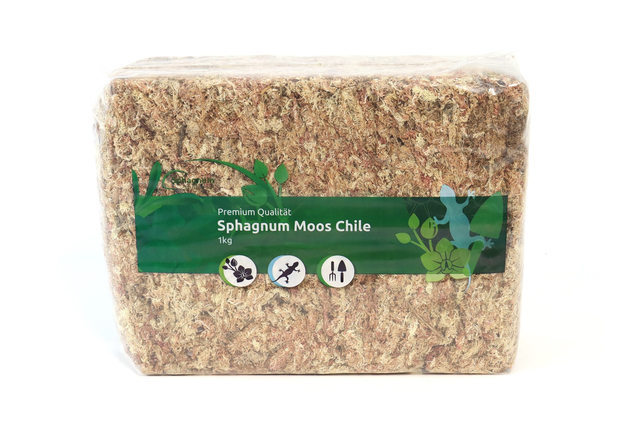 sphagnum-shop.com Terrarien-Substrat Sphagnum Moos aus Chile für Terrarium und Orchideen, Chilenische Premium-Qualität, Ideal für Pflanzenpflege & Terraristik
