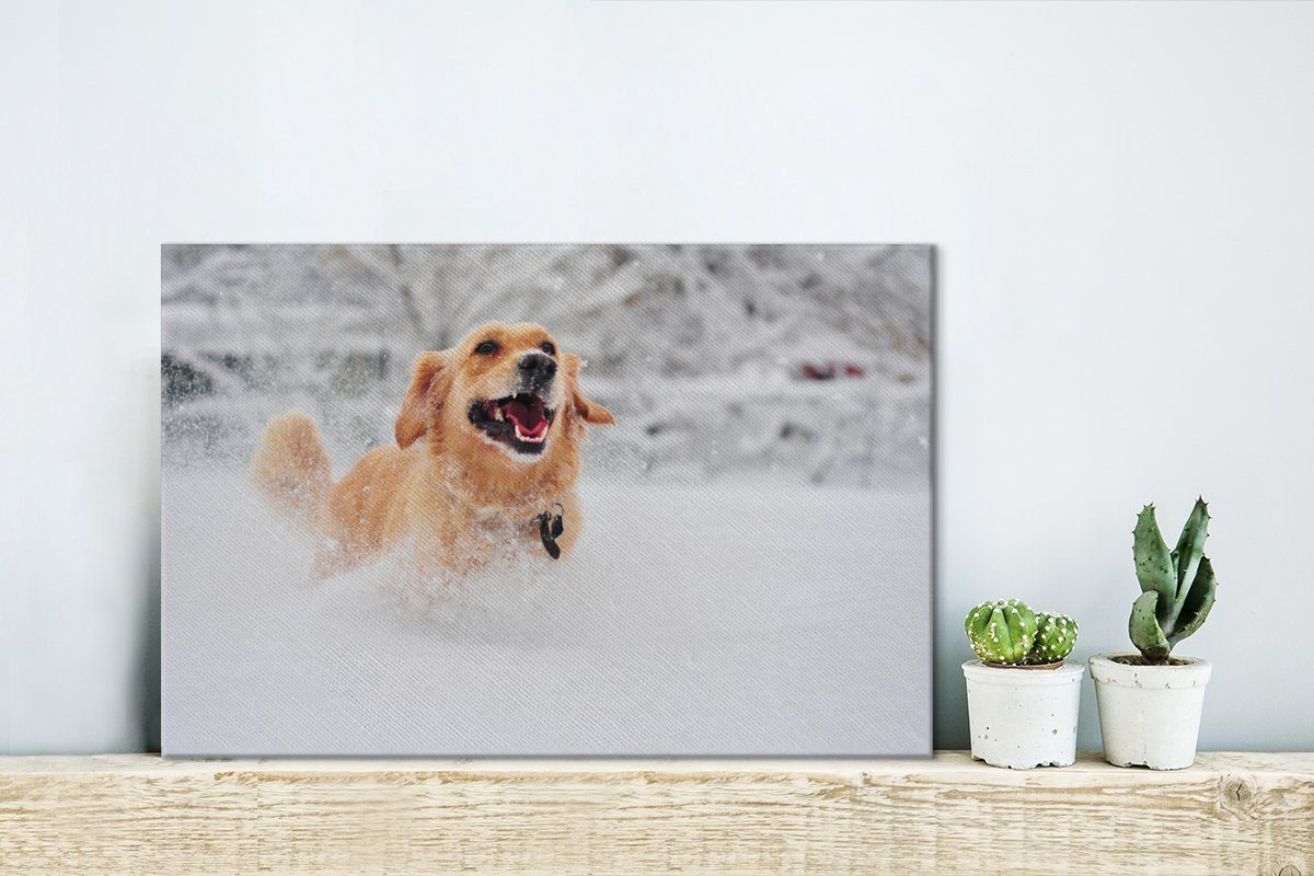 OneMillionCanvasses® Leinwandbild Hund - Schnee Leinwandbilder, 30x20 Wanddeko, Aufhängefertig, Winter, cm St), Wandbild (1 