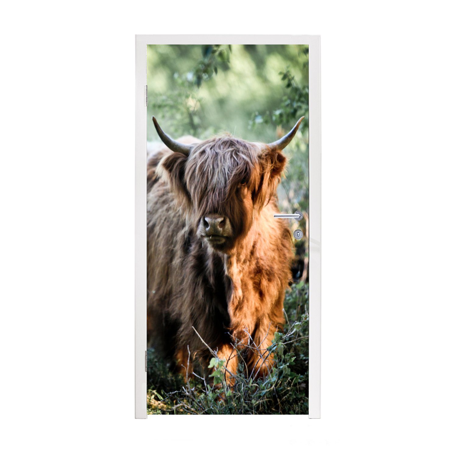 MuchoWow Türtapete Schottische Highlander - Wald - Tiere, Matt, bedruckt, (1 St), Fototapete für Tür, Türaufkleber, 75x205 cm