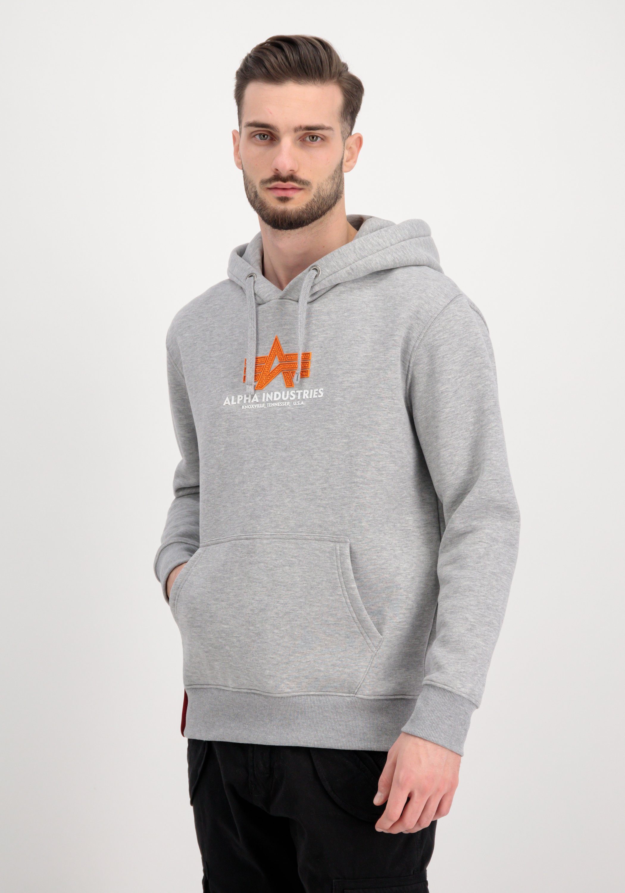 Alpha heather Industries Rubber Industries grey Basic Alpha Hoodie - Men Hoody Hoodies