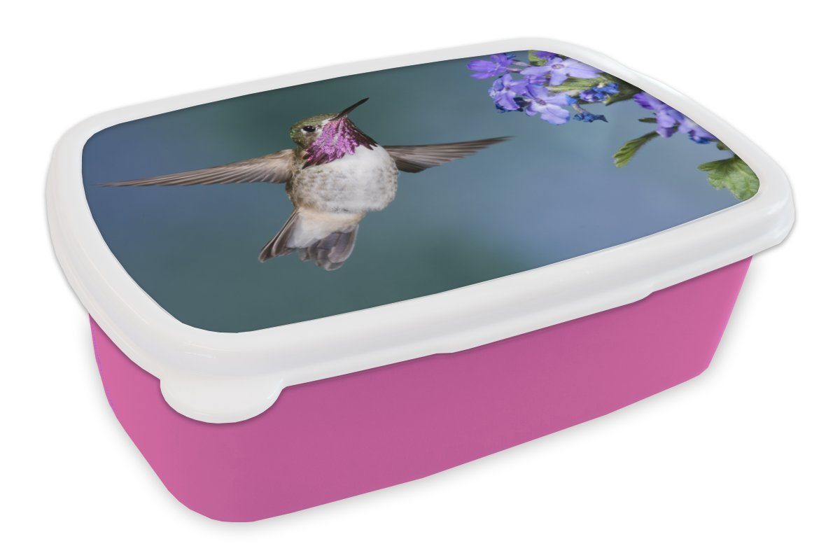 MuchoWow Lunchbox Kolibri - Blume - Blau, Kunststoff, (2-tlg), Brotbox für Erwachsene, Brotdose Kinder, Snackbox, Mädchen, Kunststoff rosa